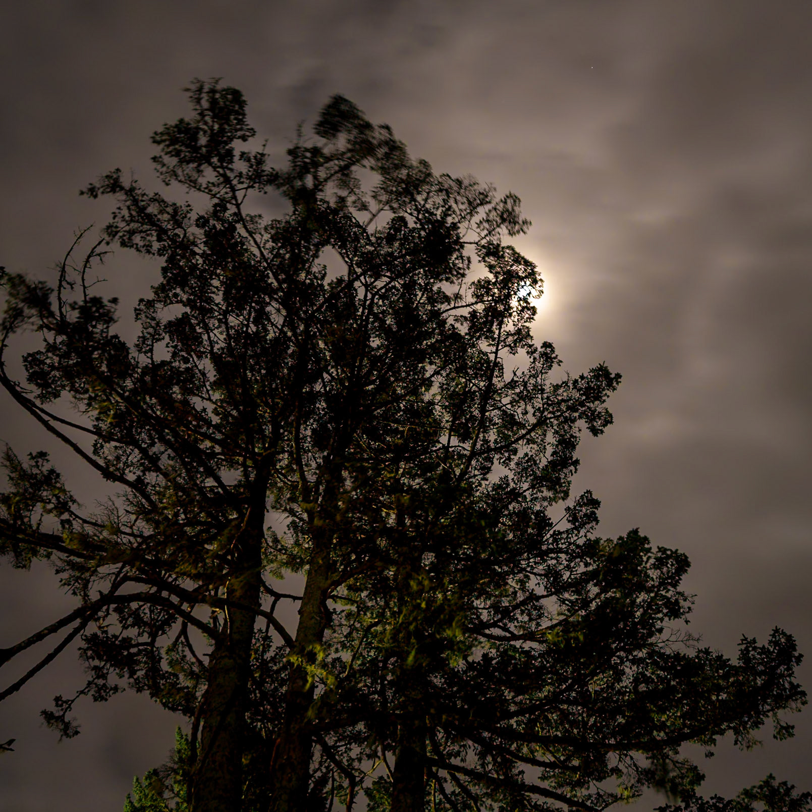 Klipsan Beach Feb2026