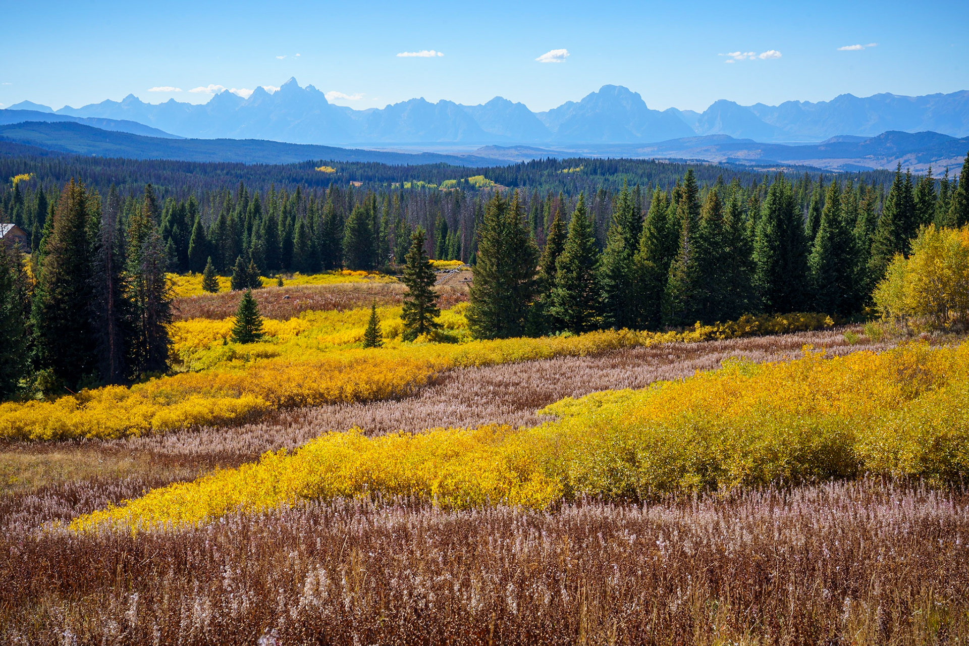 FirstView Tetons, Sep2022