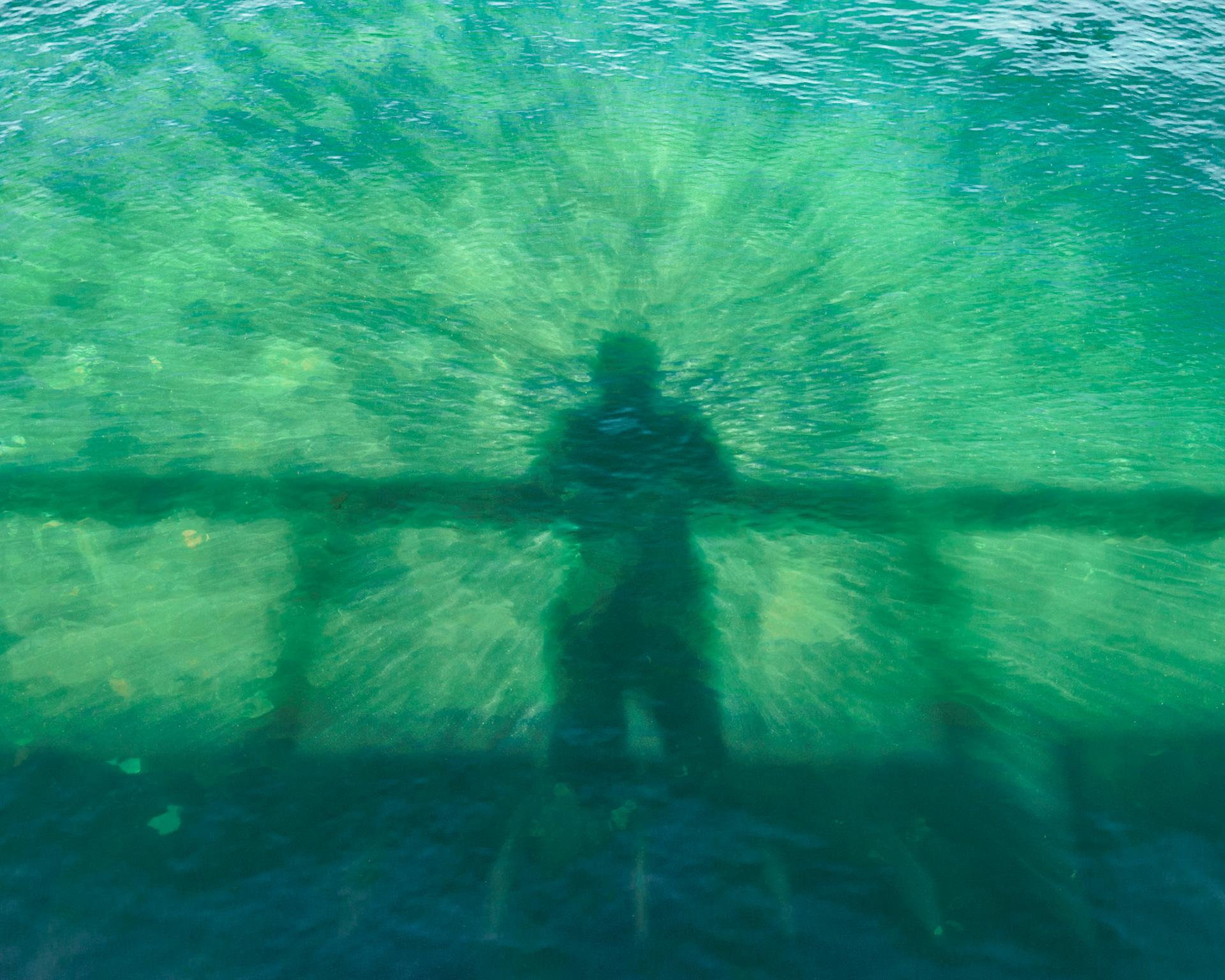 Selfie, Orcas Ferry Terminal, June 2016