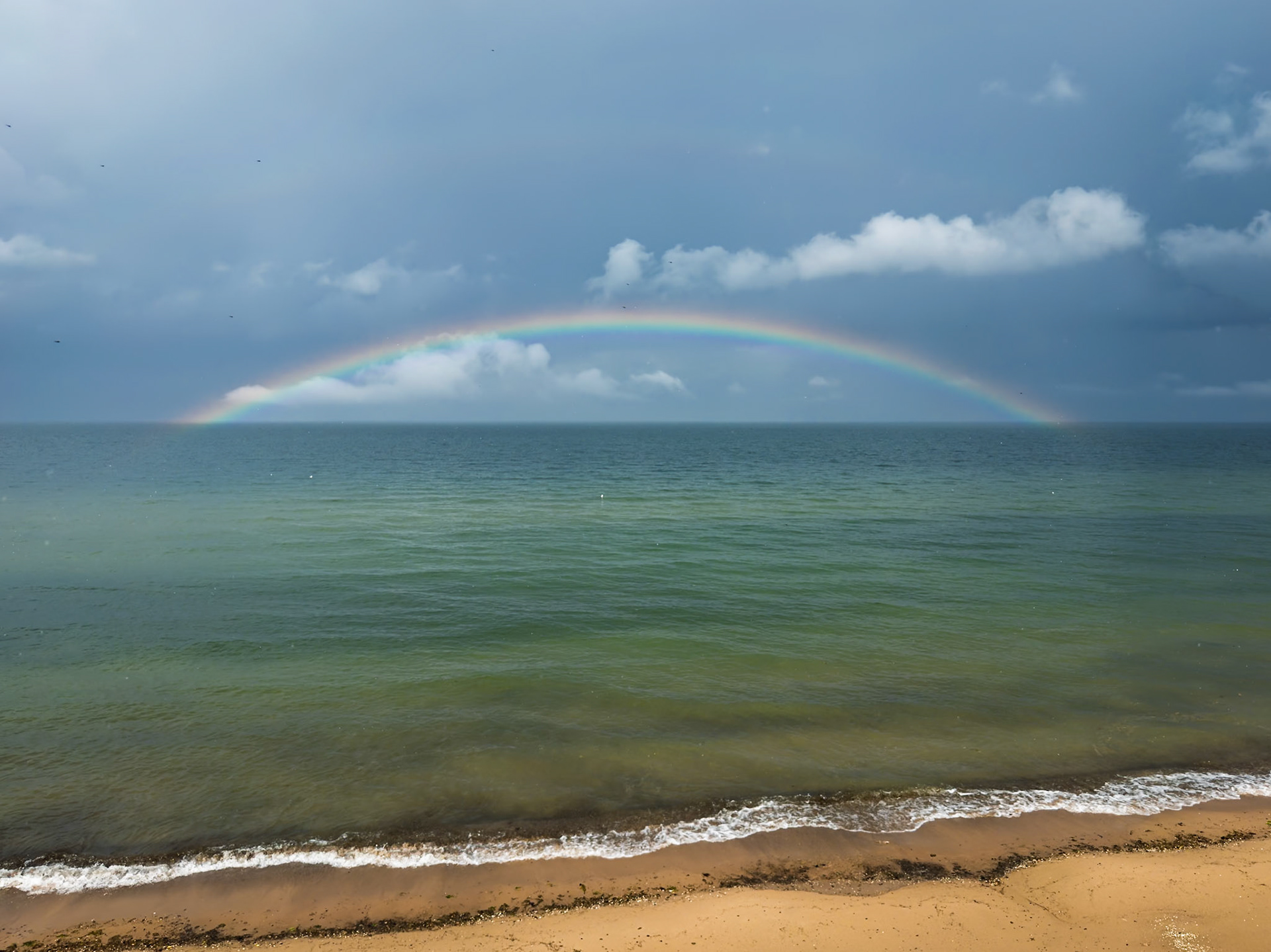 After the Storm