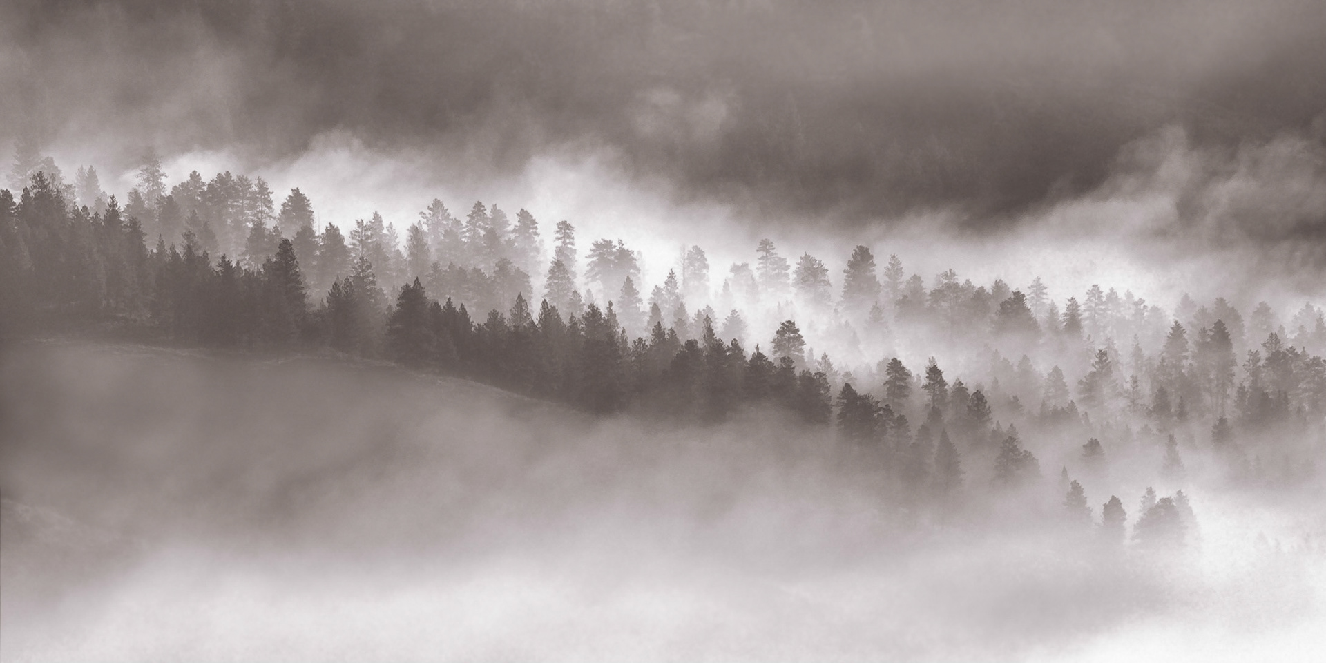 From Yurt Deck, Oct 2021