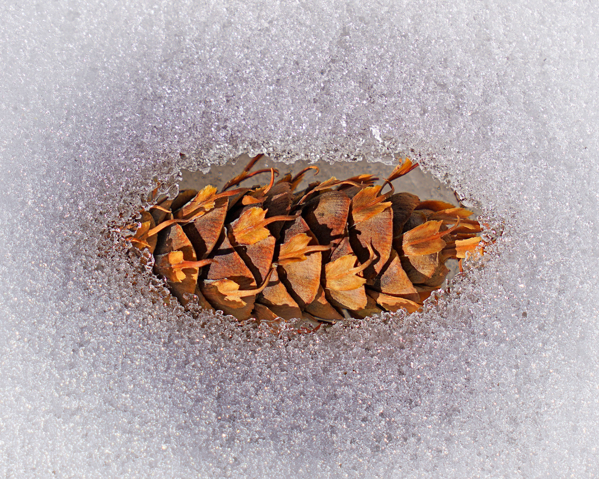 Near Yurt, March 2020