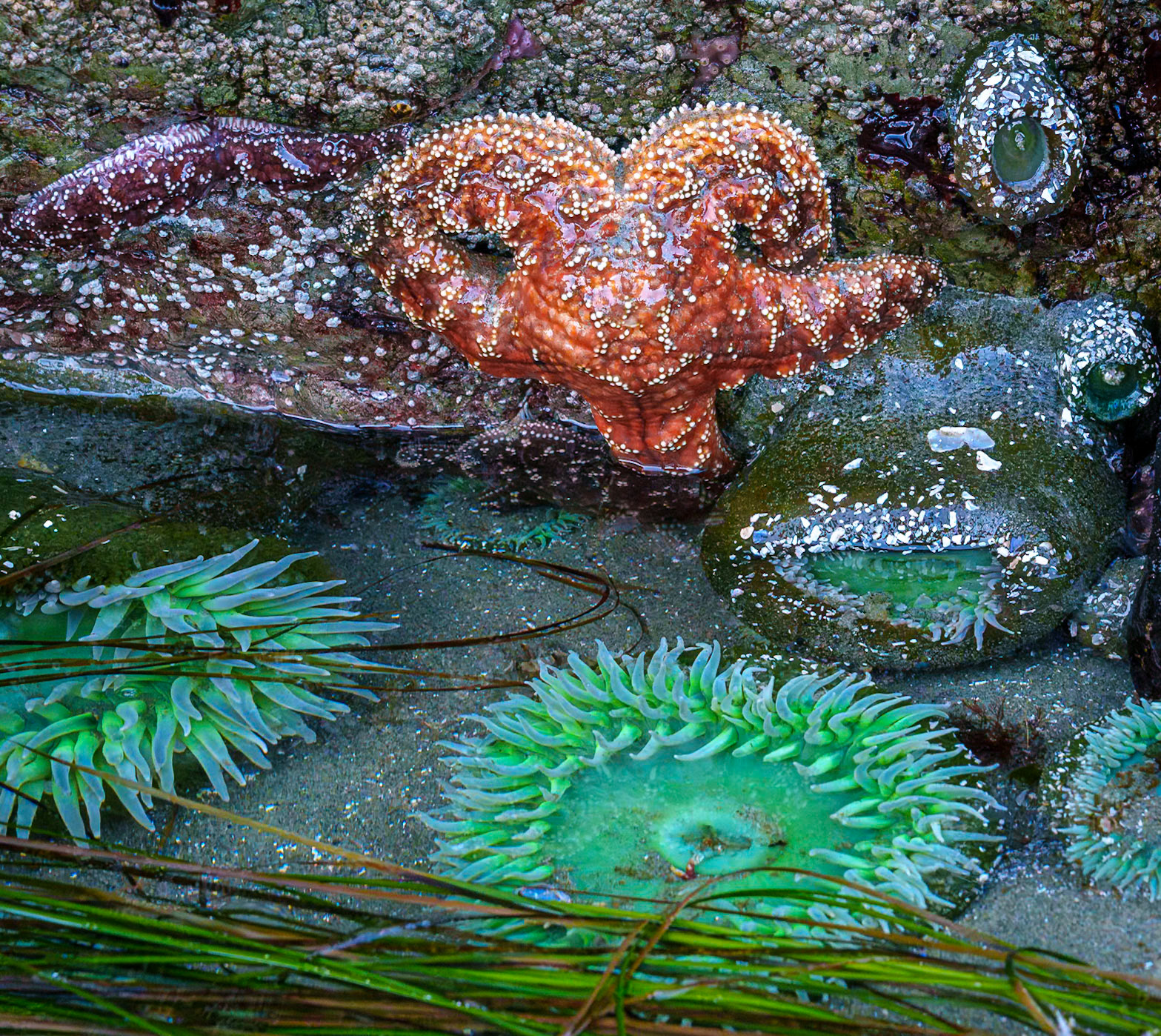 Tofino, May 2025