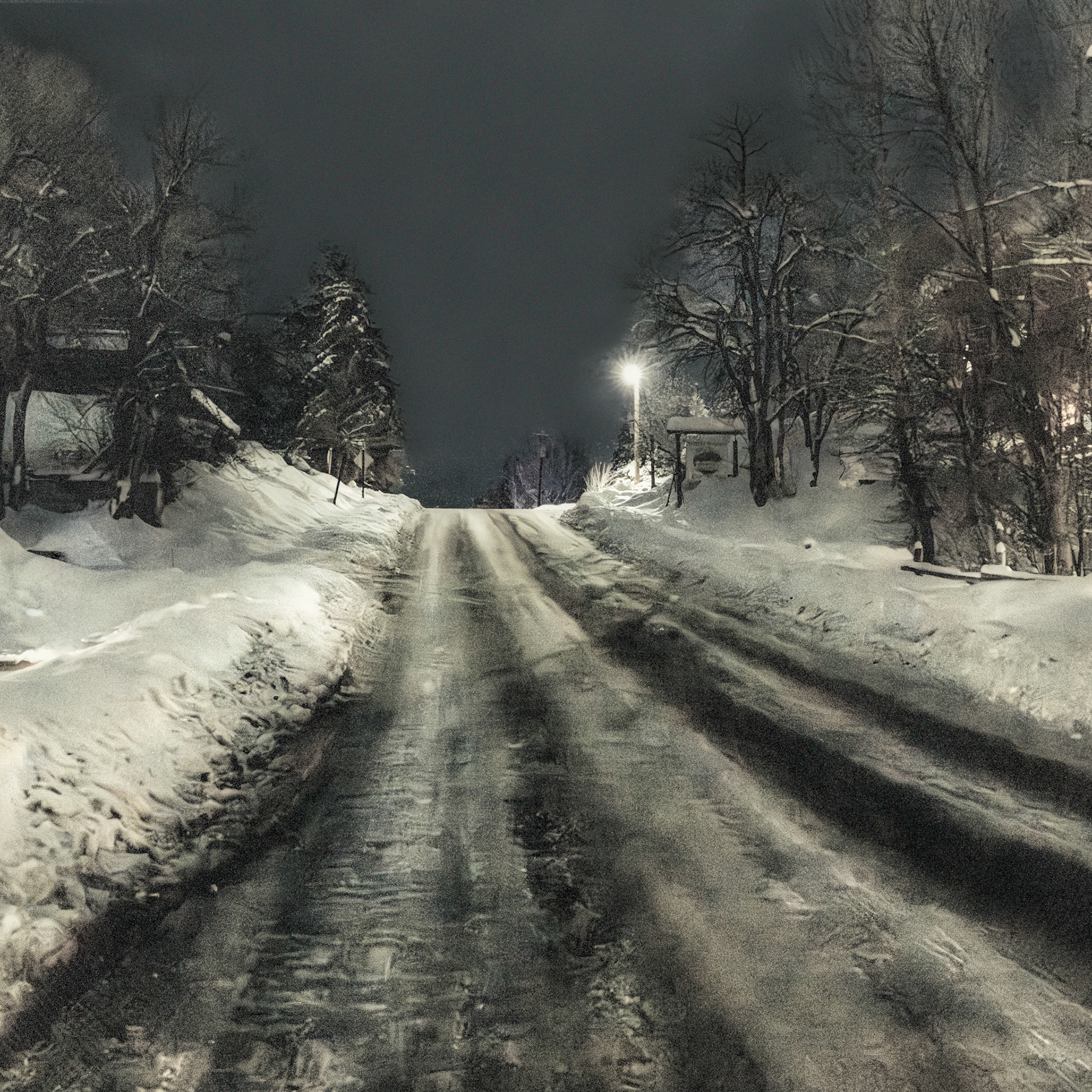 Winthrop January 2025