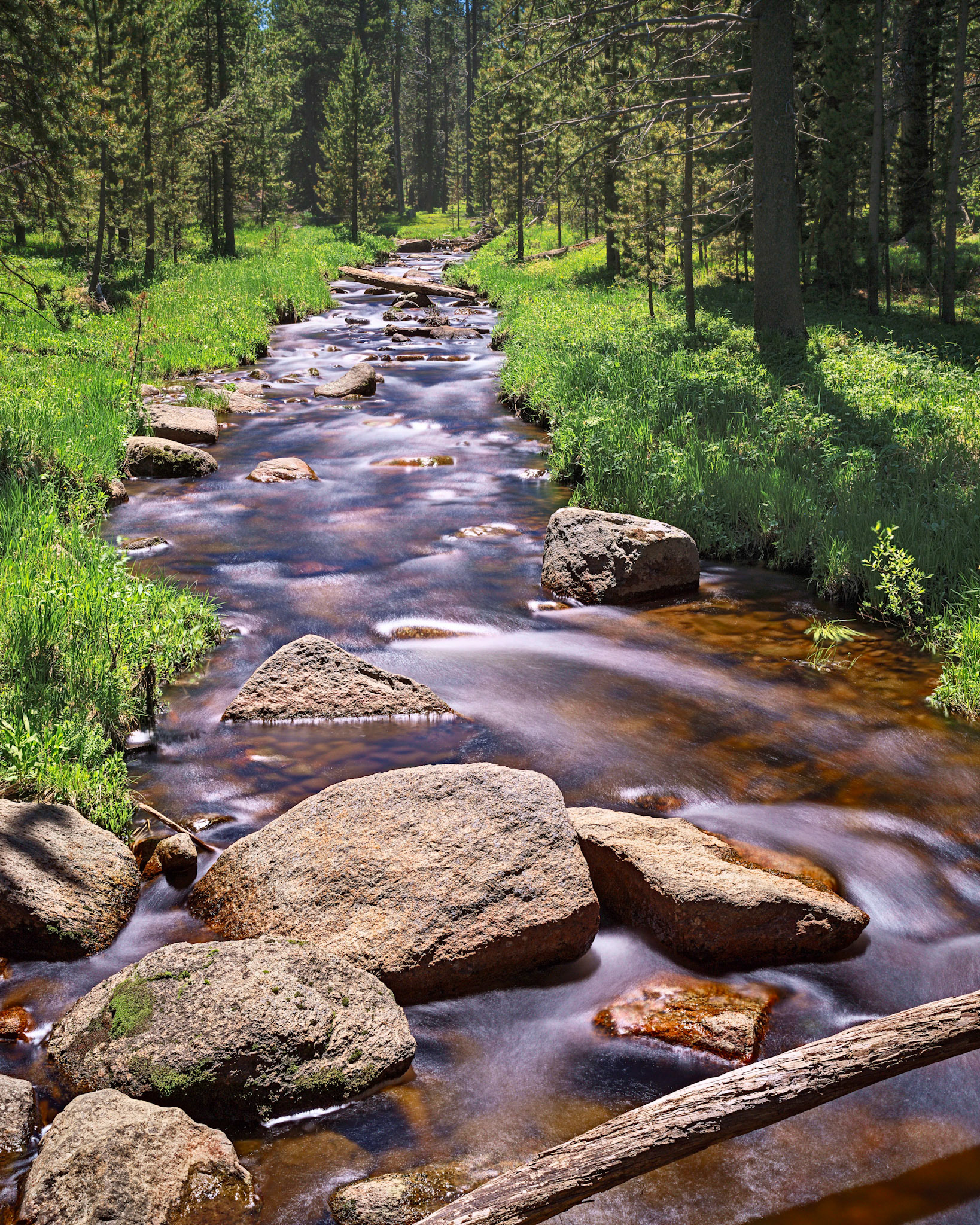 SouthTongueRiver,EastFork BighornMtns June 2021