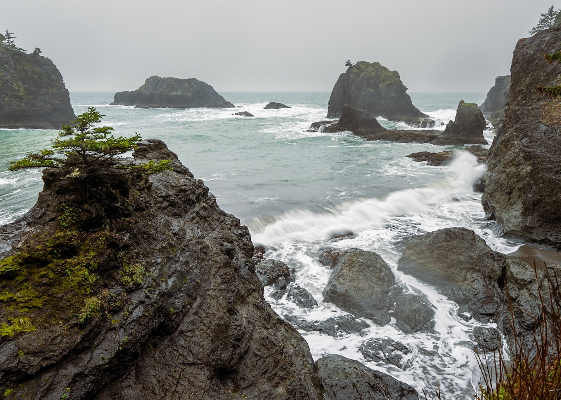 Secret Beach, Boardman S.P. OR, April 2025