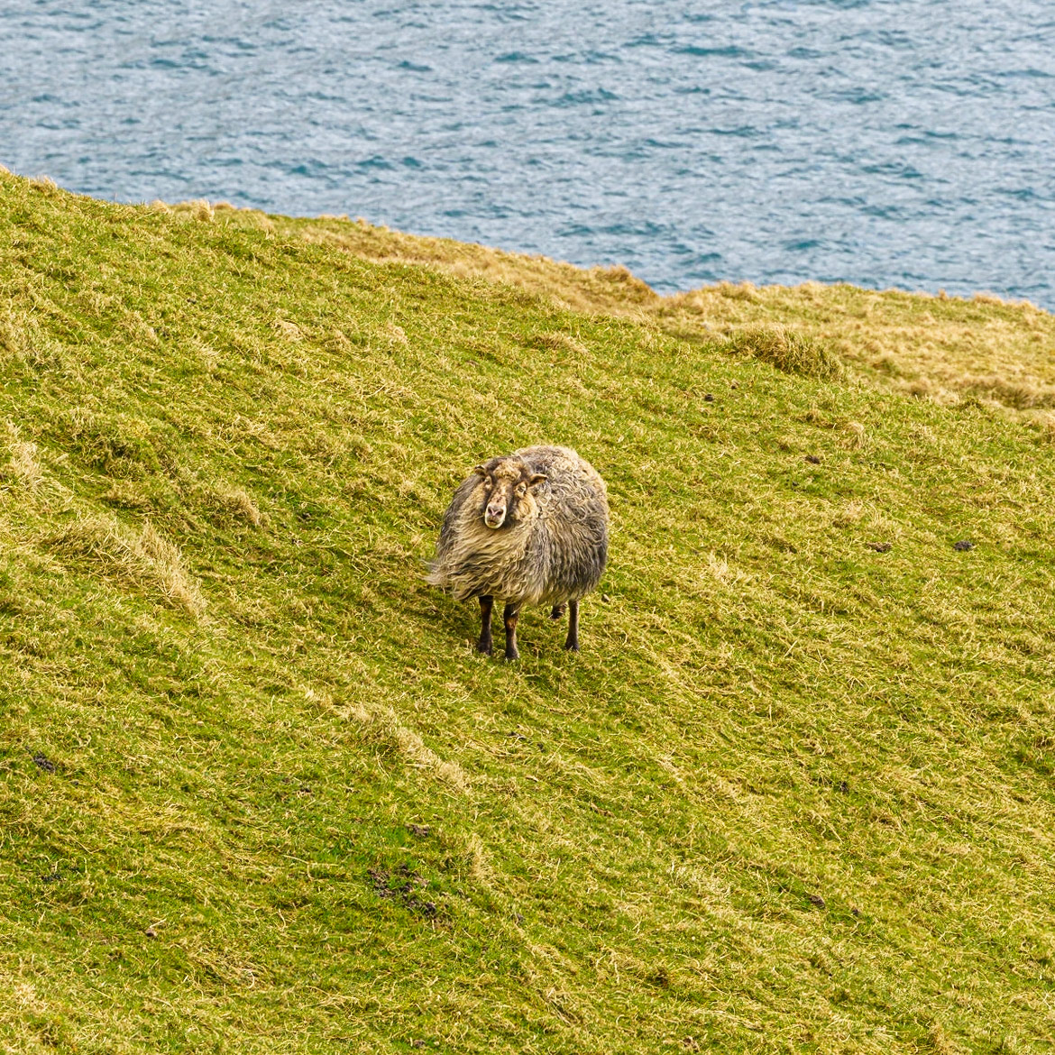 A resident of Nordradalur