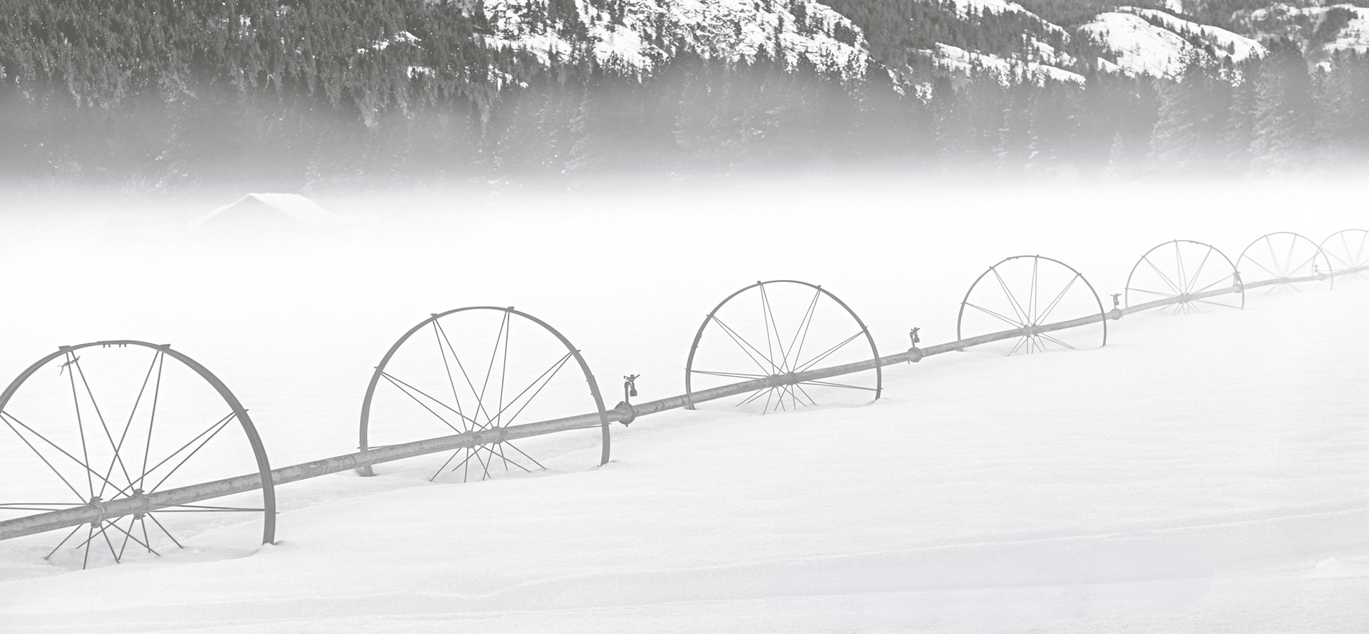 Near Mazama, 1/2019