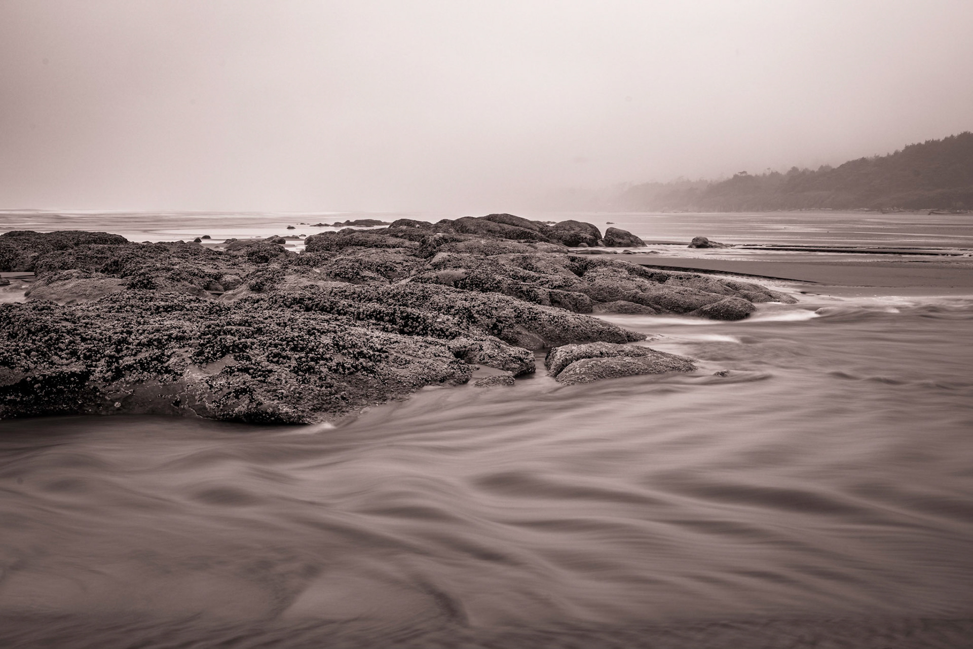 Kalaloch, March 2022