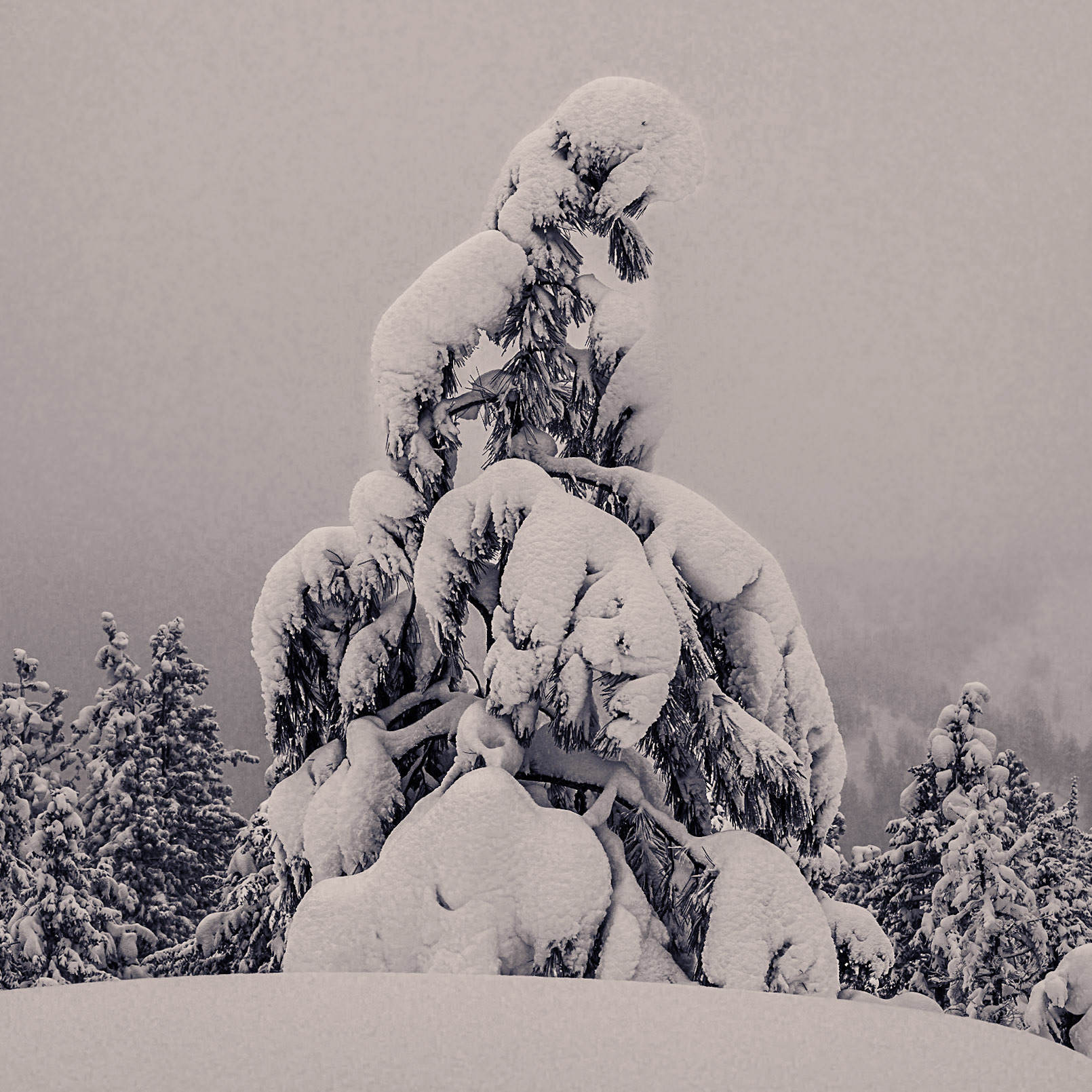 Roundezvous January 2023