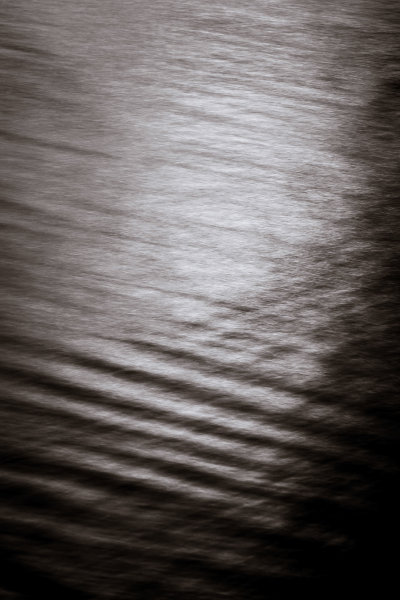 Klipsan Beach Feb2026