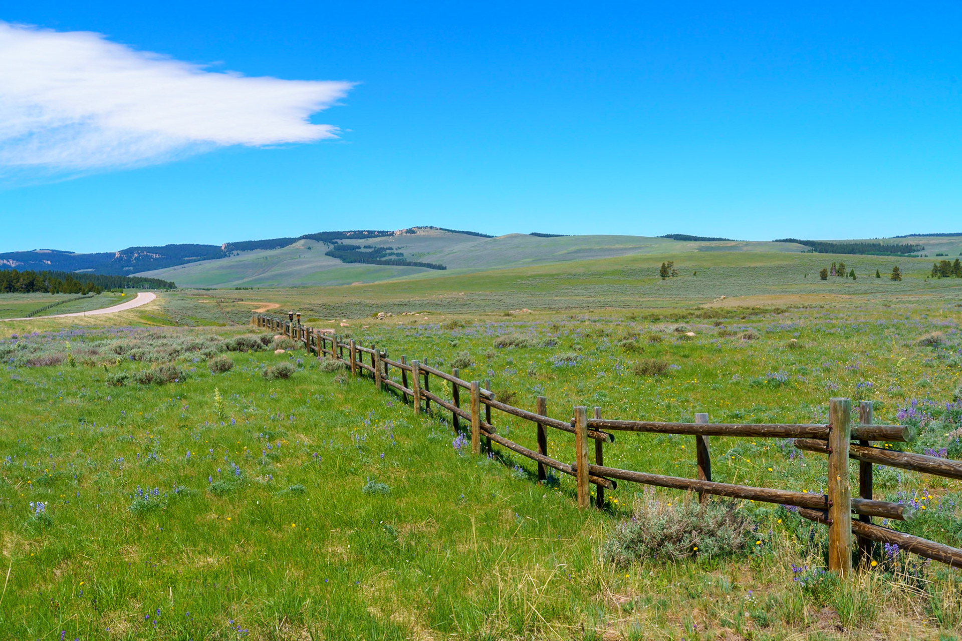 Bighorn Mtns, WY June 2021