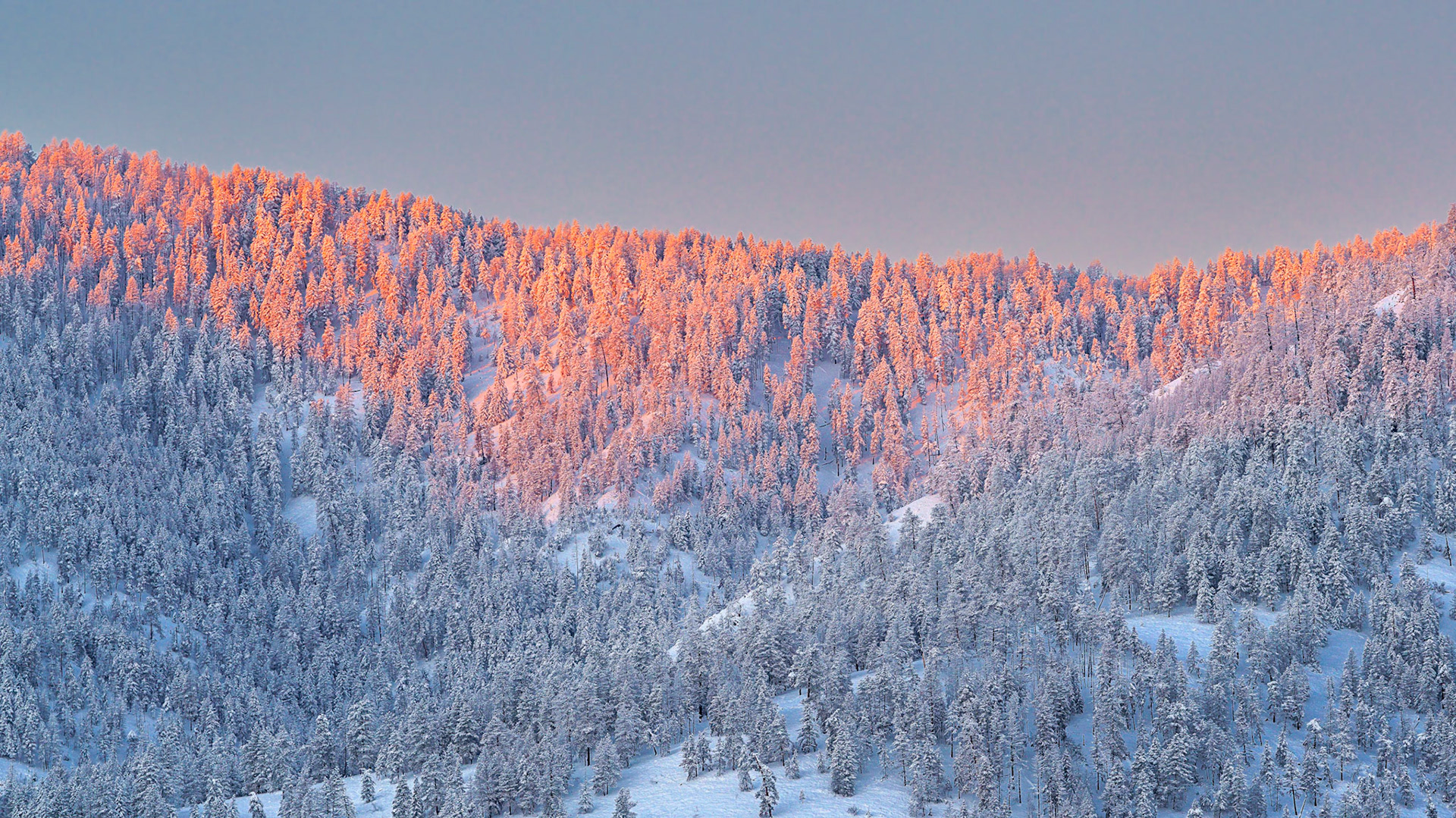 Sunrise SunMtnLodge 2021-12