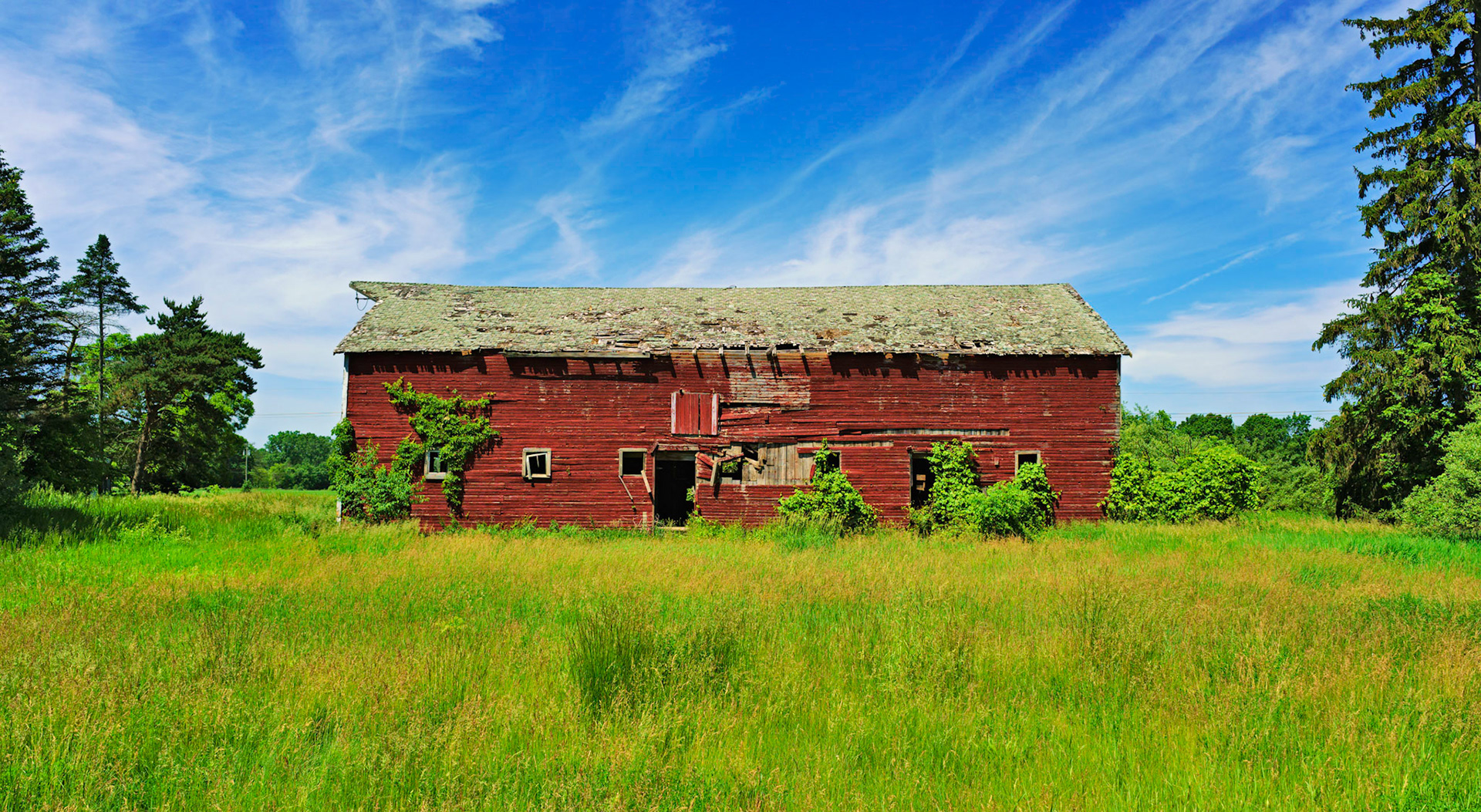 Near Howell, MI