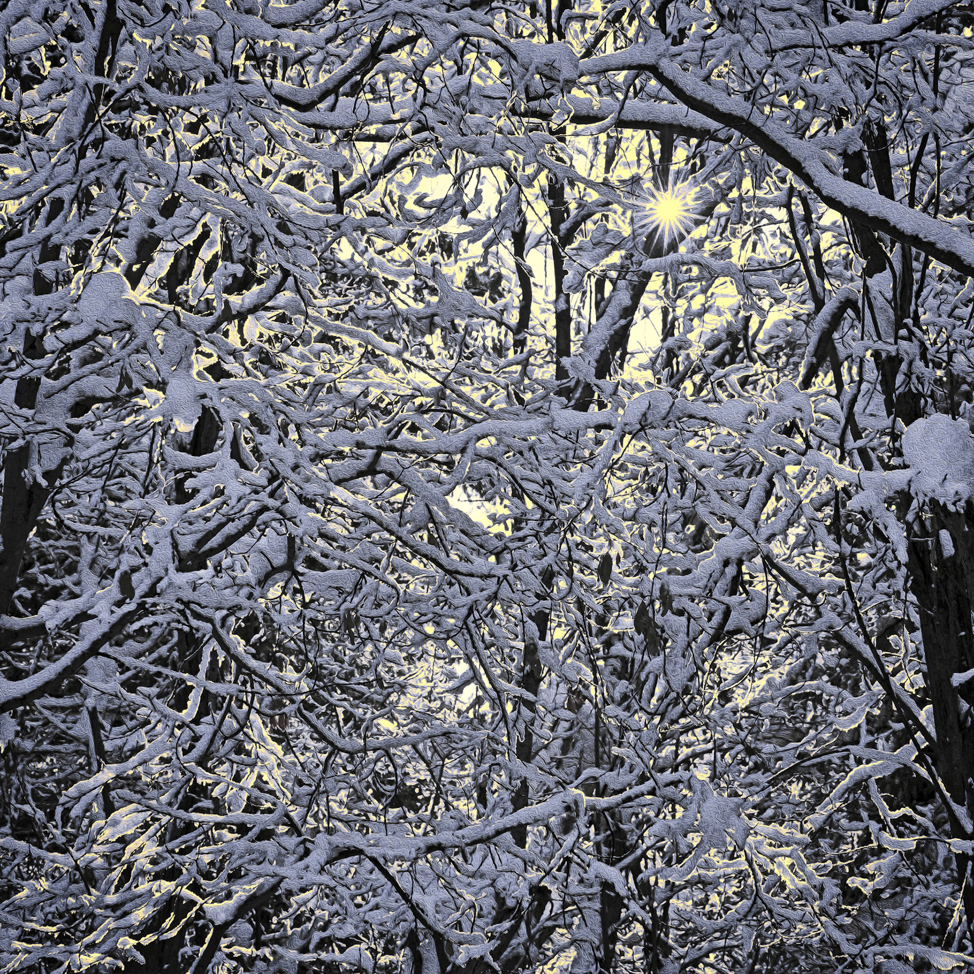 From Deck, Jan 2020