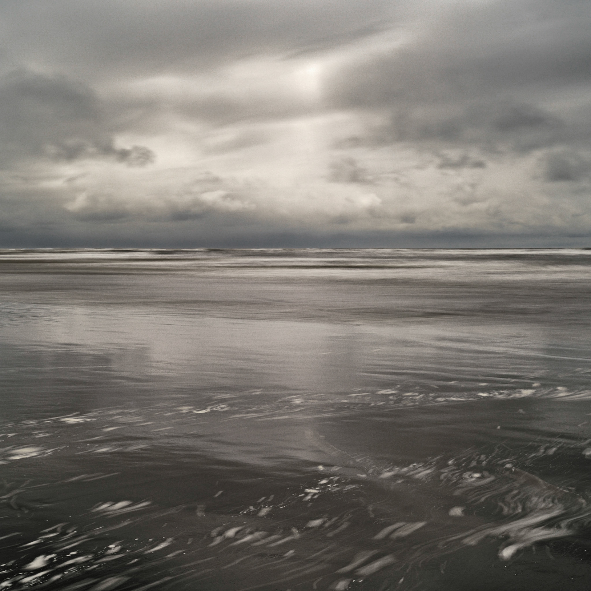 Long Beach, WA  April, 2019