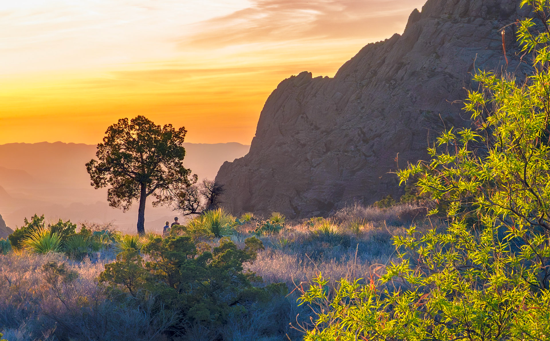 Big Bend April2024