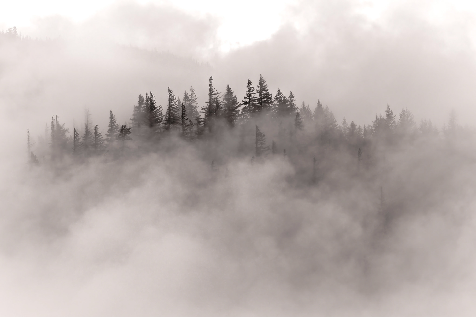 Diablo Lake Overlook, NCNP, Oct 2019