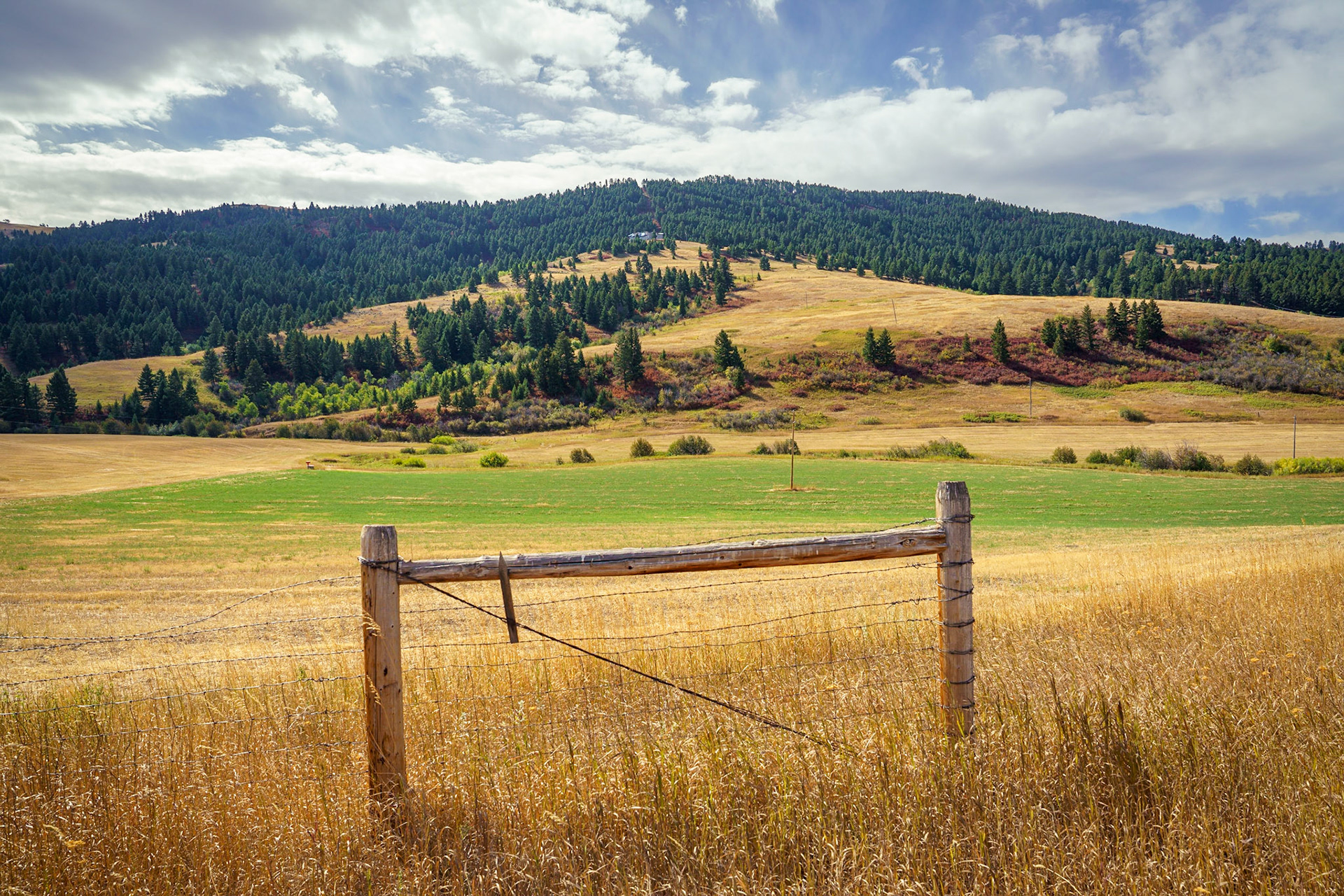 RoadsideStop, Montana, Sep2022