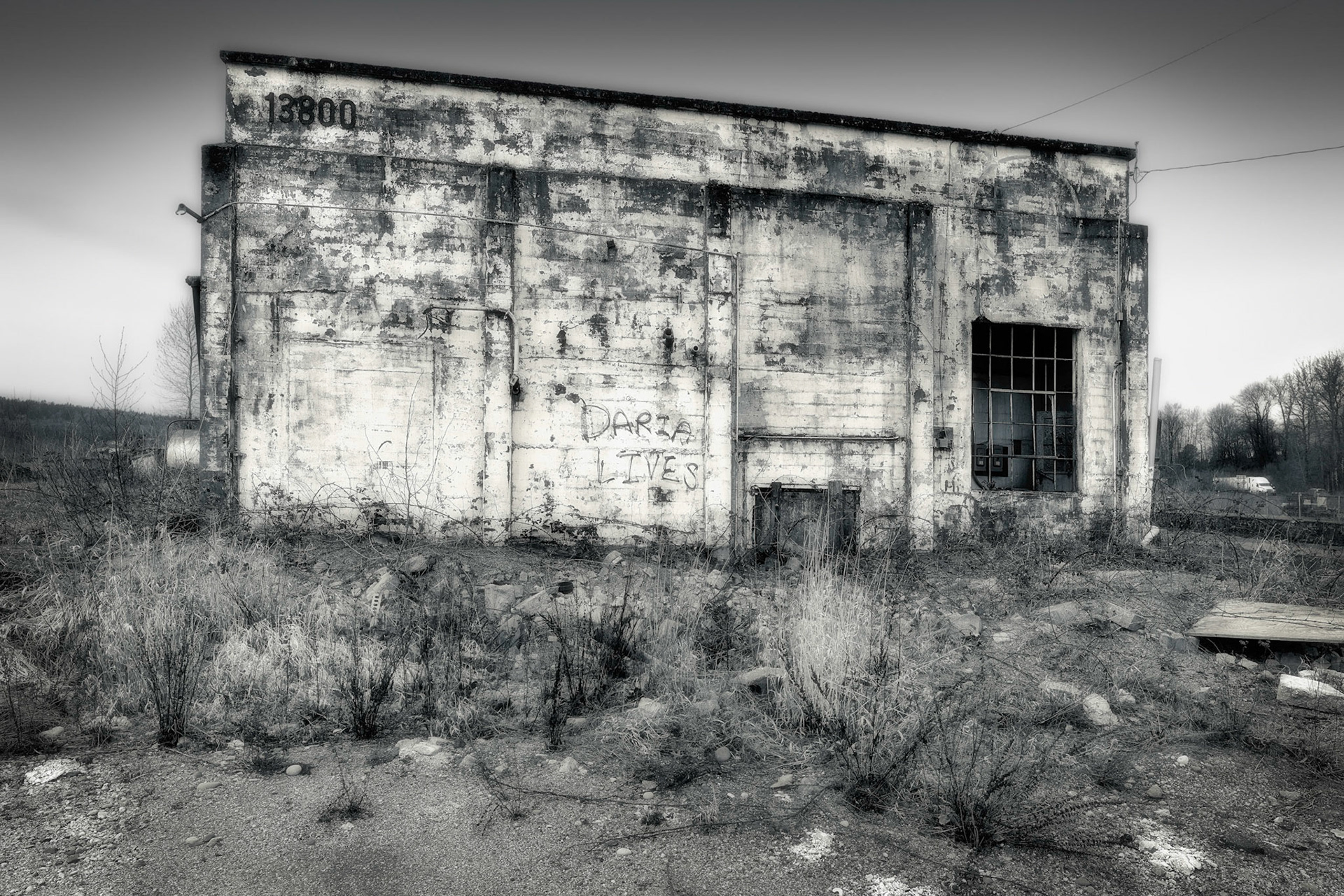 Outside Monroe, WA  3/2019