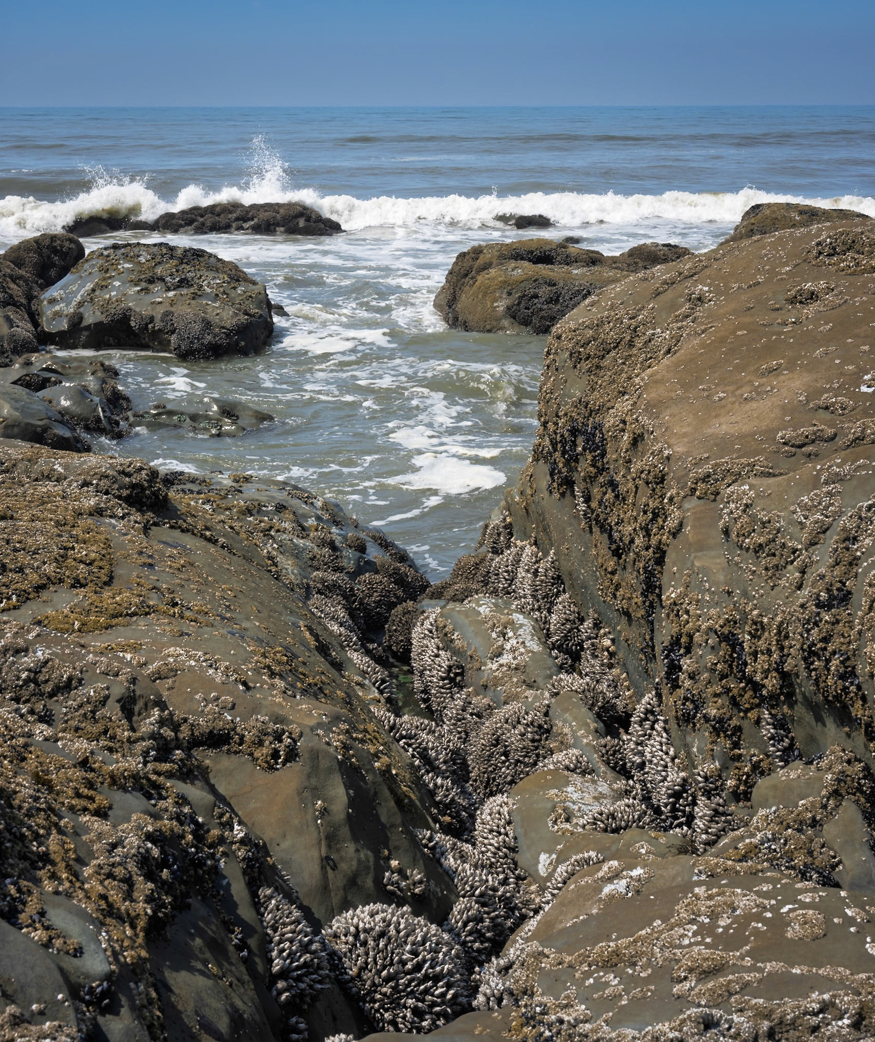 Beach3 OlympicNP Aug2026