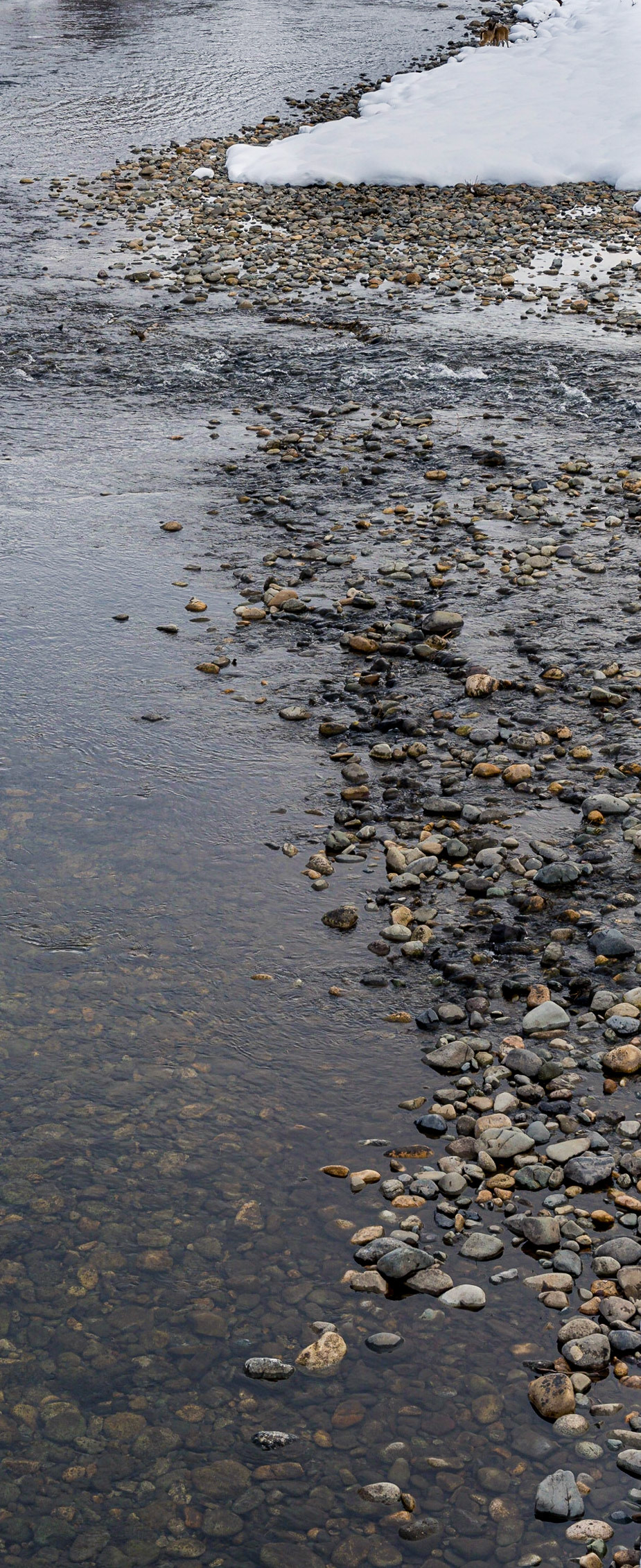 Methow River Jan2023