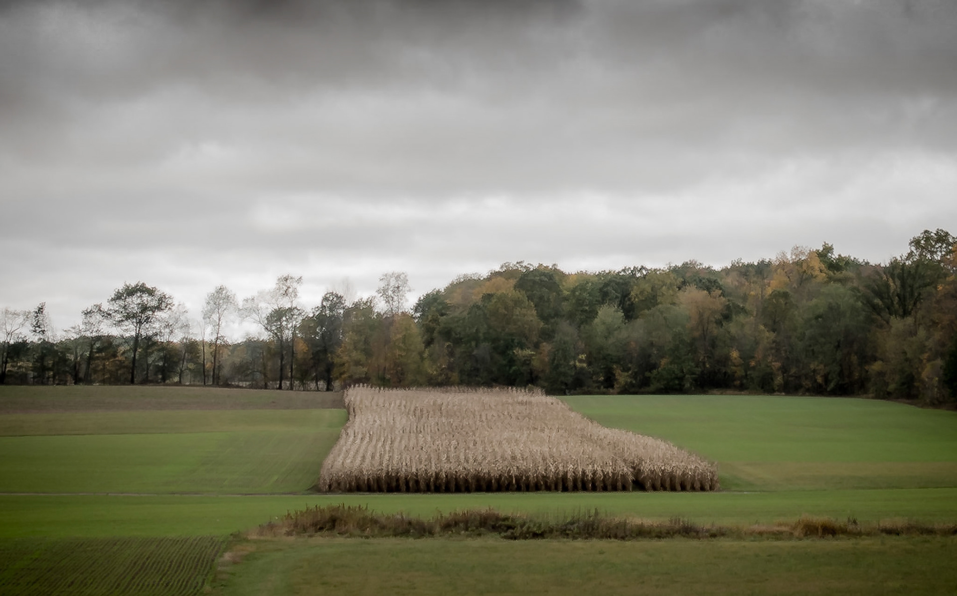 Near Howell, MI