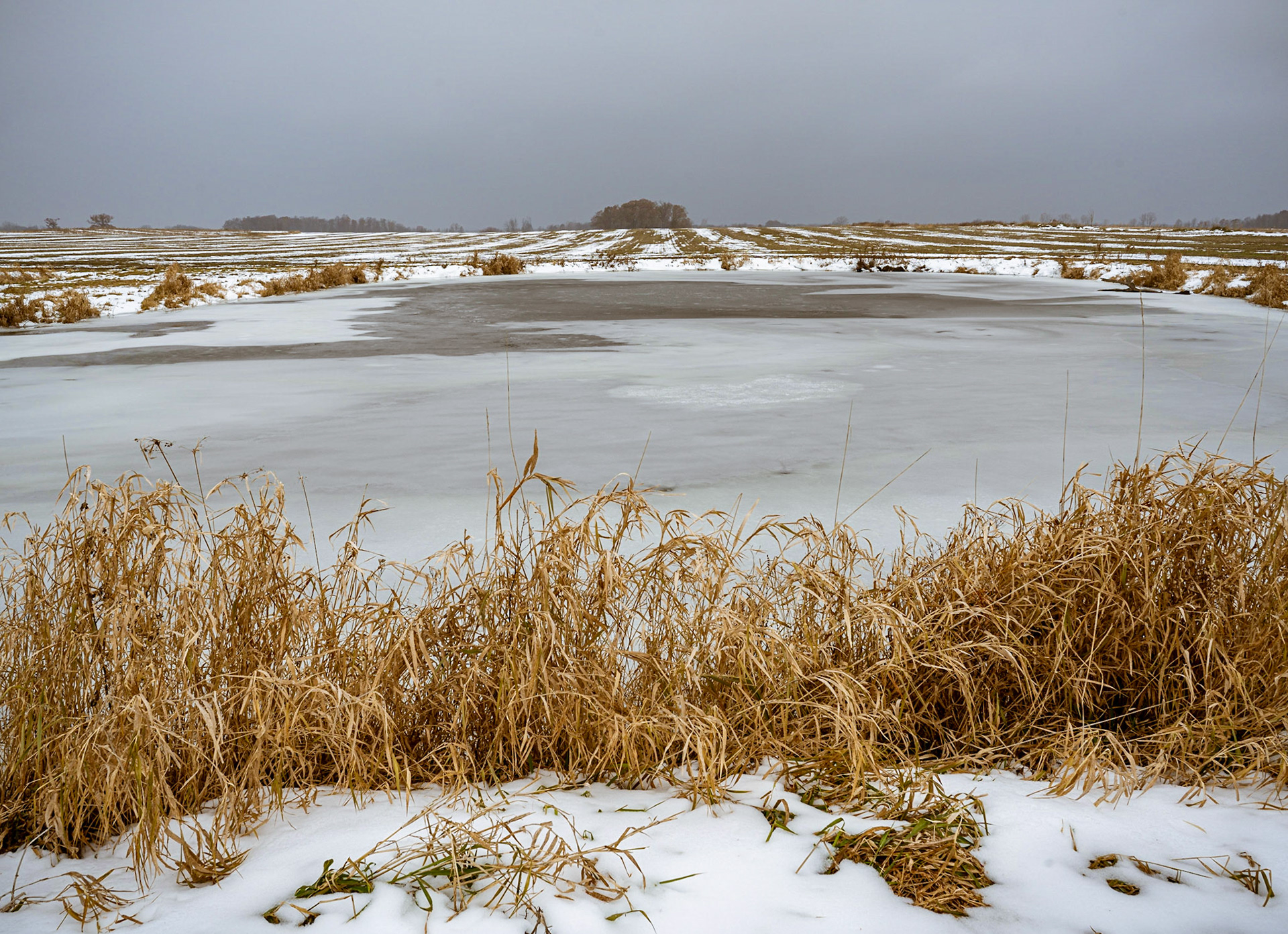 Stockbridge on The Day