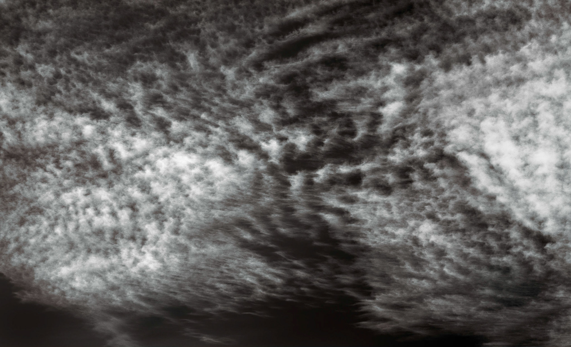 From Yurt Deck, Aug 2020