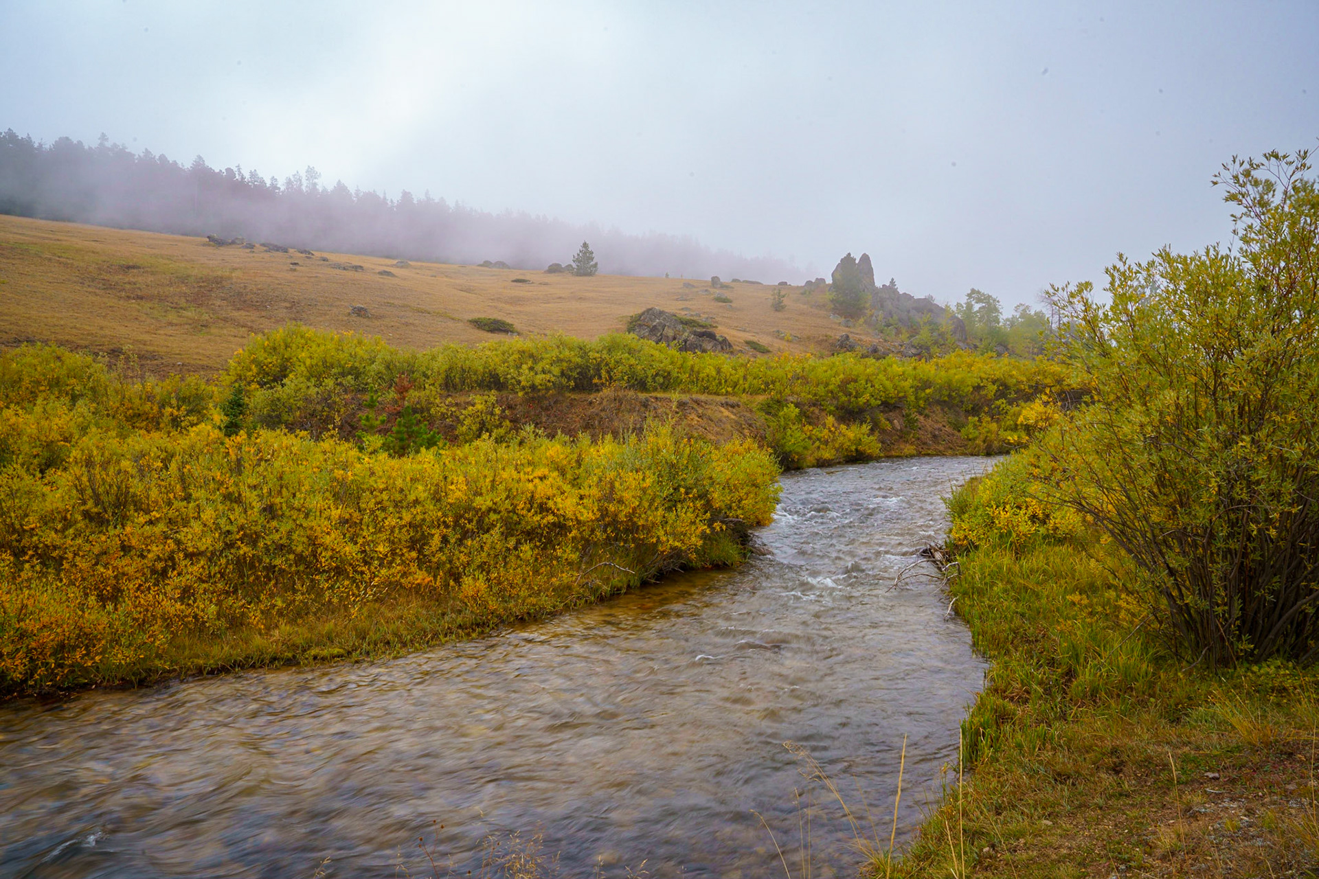 Rapid'Creek, BighornMtns, Sep2022