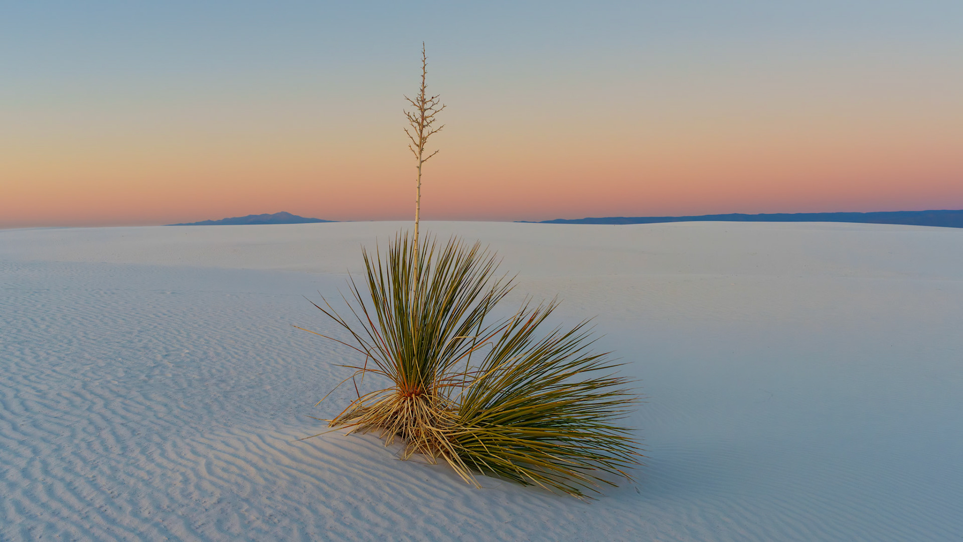 White Sands N.P. April2024