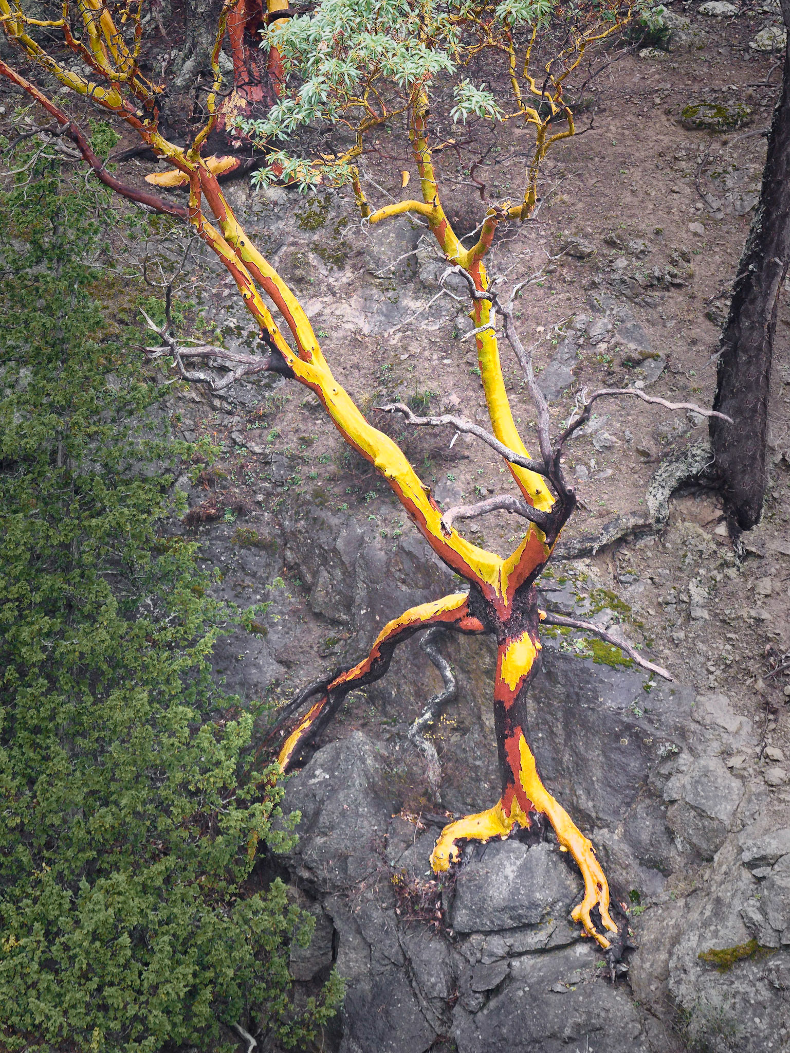 Lopez Is FerryDock Sept 2021