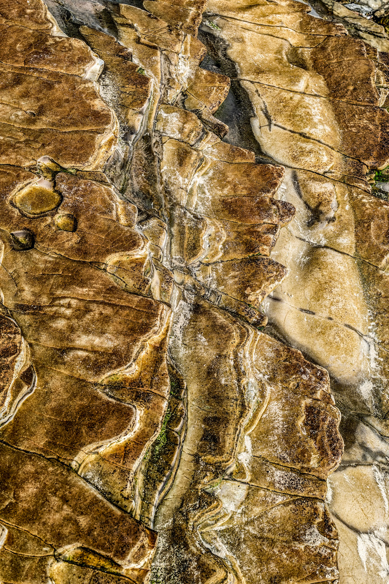 Drone Canyon Perspective