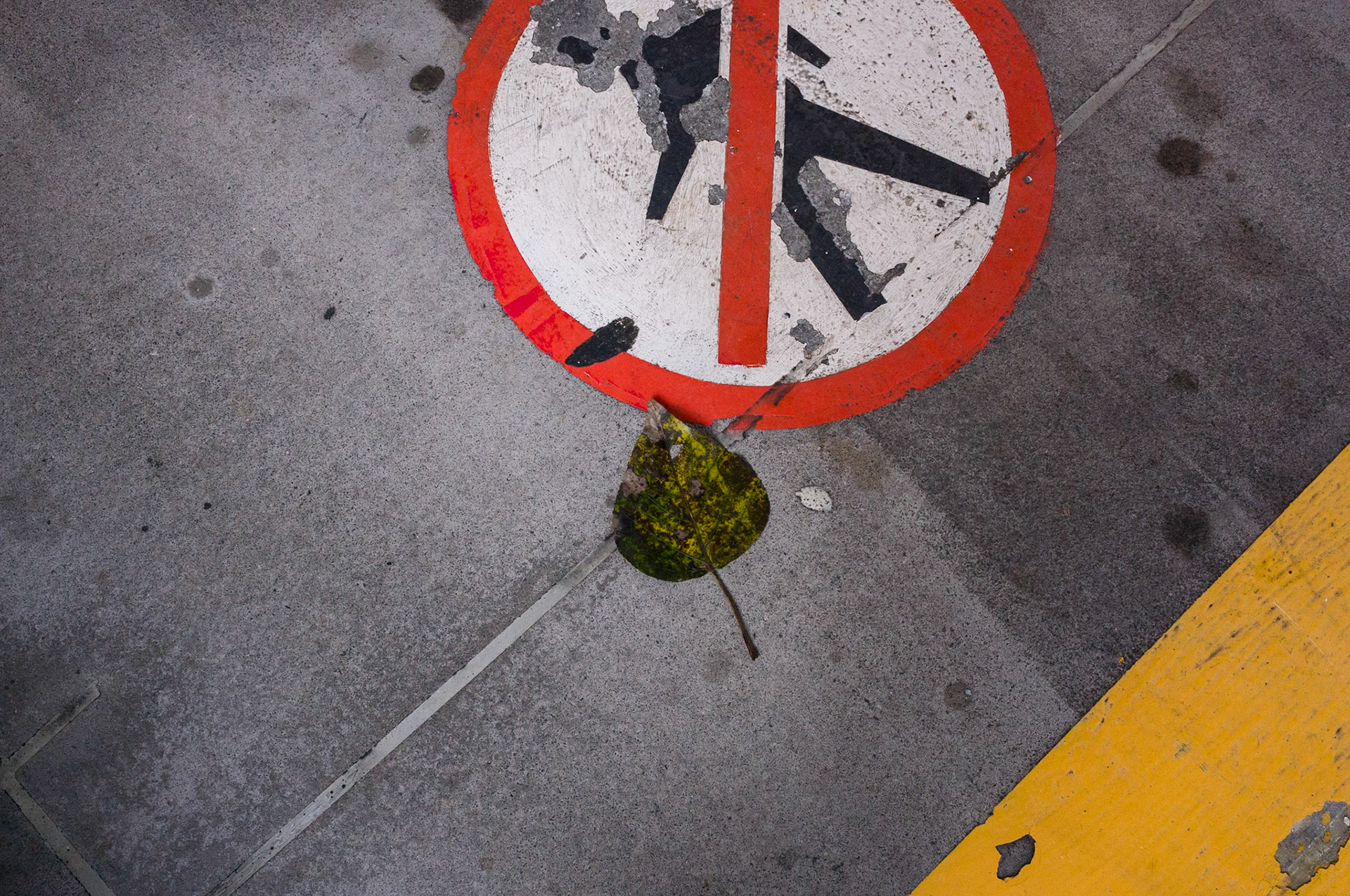 Don't Leaf me Walking