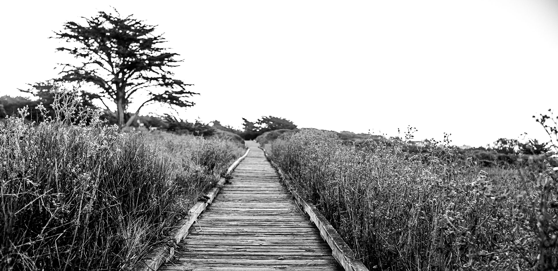Let your imagination take you down the path of life.  This wooden boardwalk in Cambria, California provides a great opportunity to walk the coast in this quaint seaside village in Northern California.  The name Cambria, chosen in 1869, is the Latin name for Wales. Cambria is situated amidst Monterey pines in one of only three such native forests.