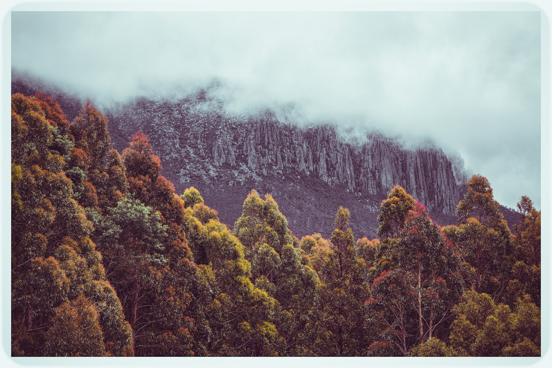 Most days you do not see the top of Mount Wellington that rises to 5.170 feet above sea level and provides panoramic vistas of Hobart below.