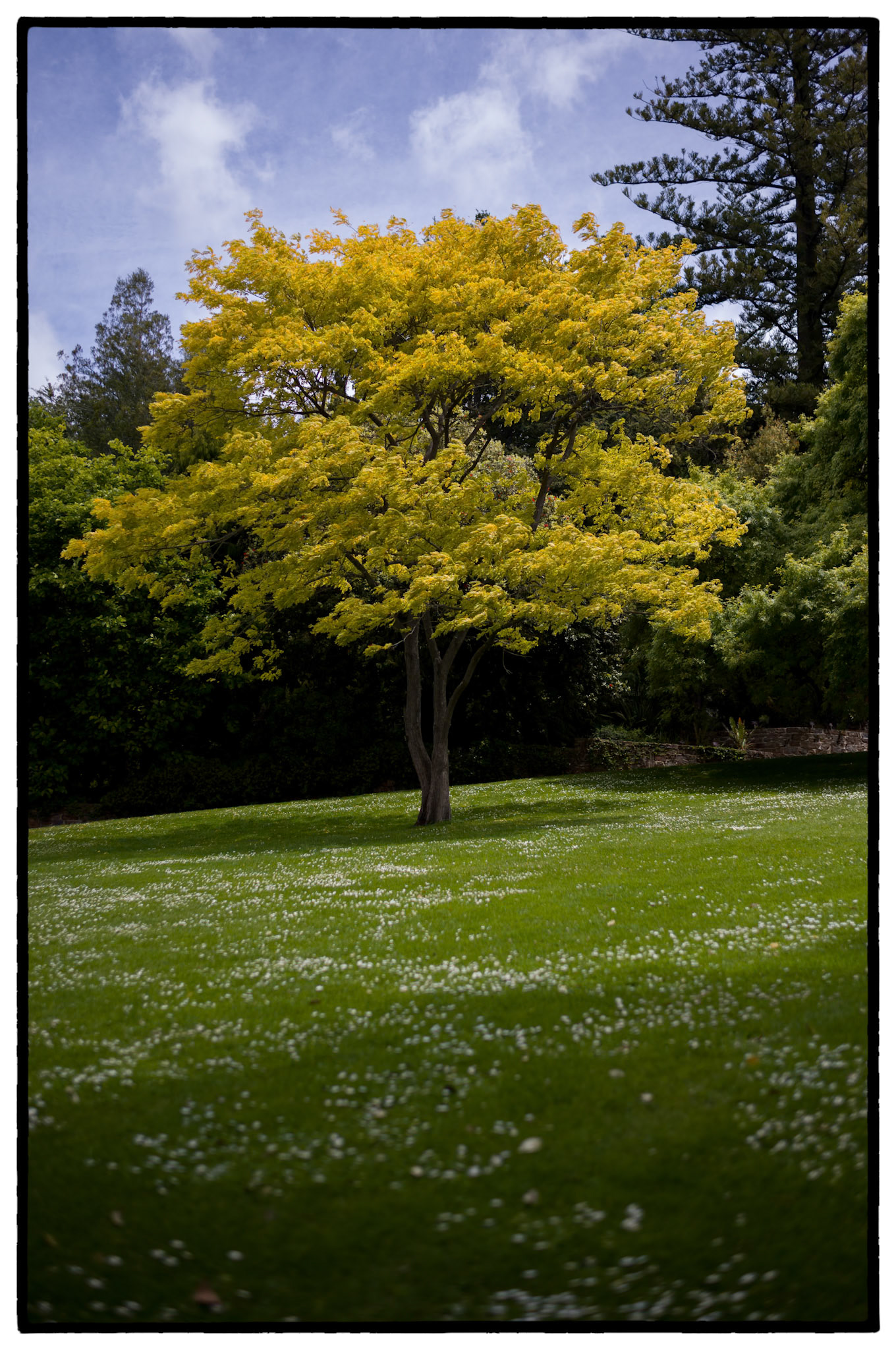 The Royal Tasmanian Botanical Gardens are truly stunning and a great place to escape from life's hectic pace.
