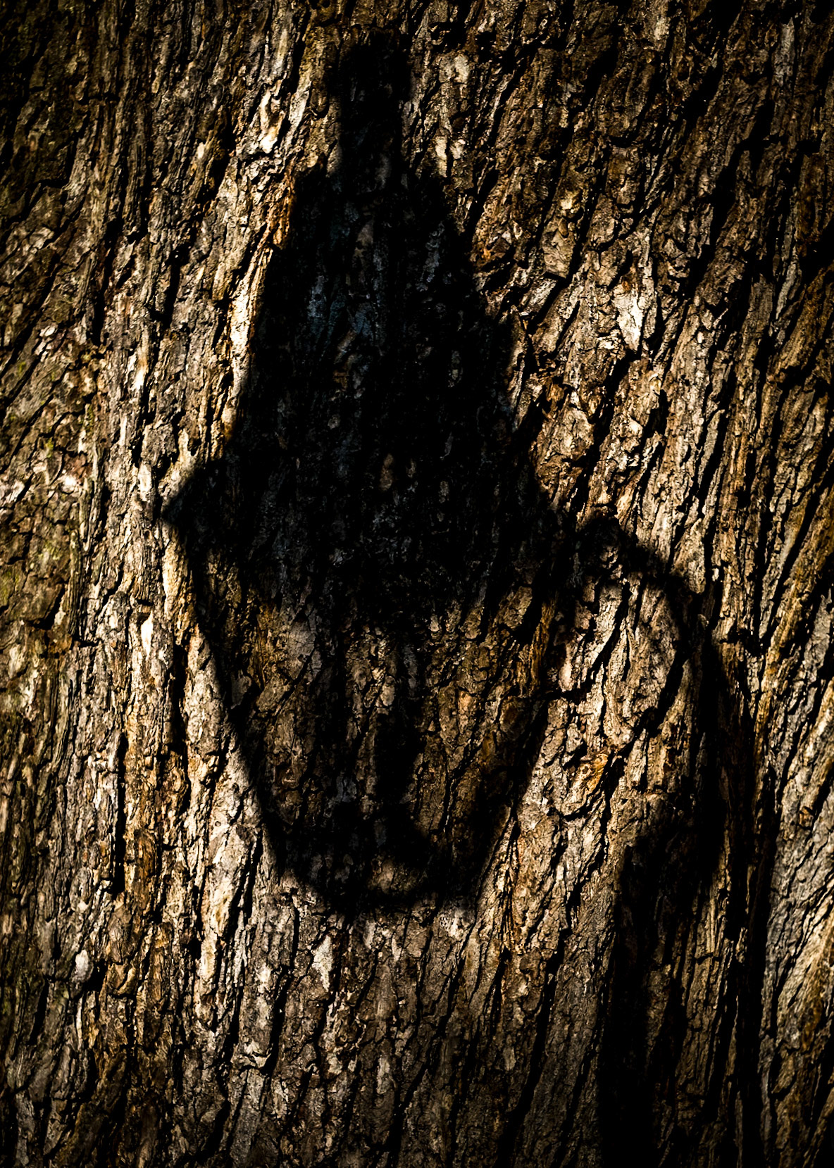 Cool shaddow near Liberty Hall in Philadelphia.