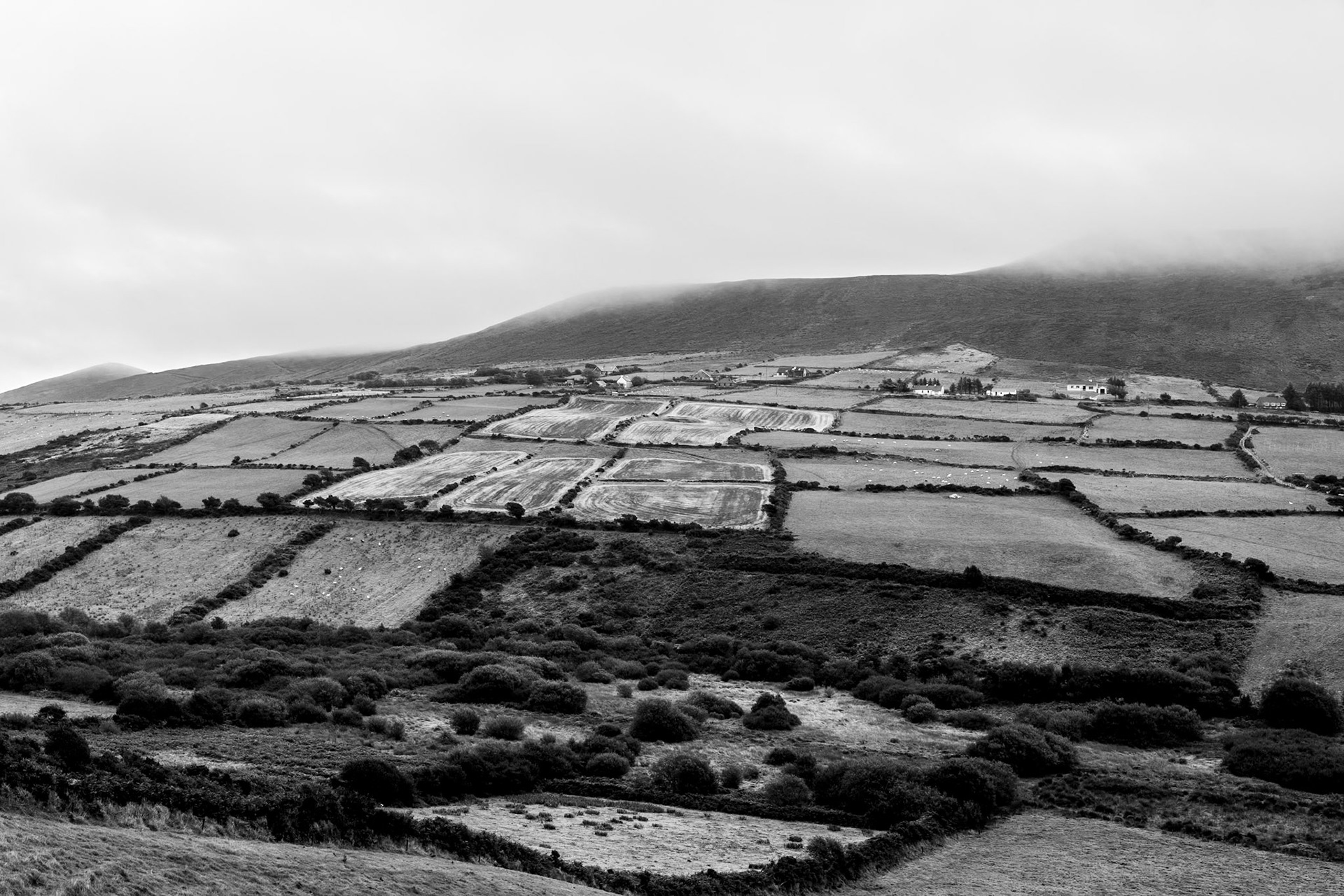 Driving through Ireland presents endless landscapes that include fields that have been farmed for hundreds of years.