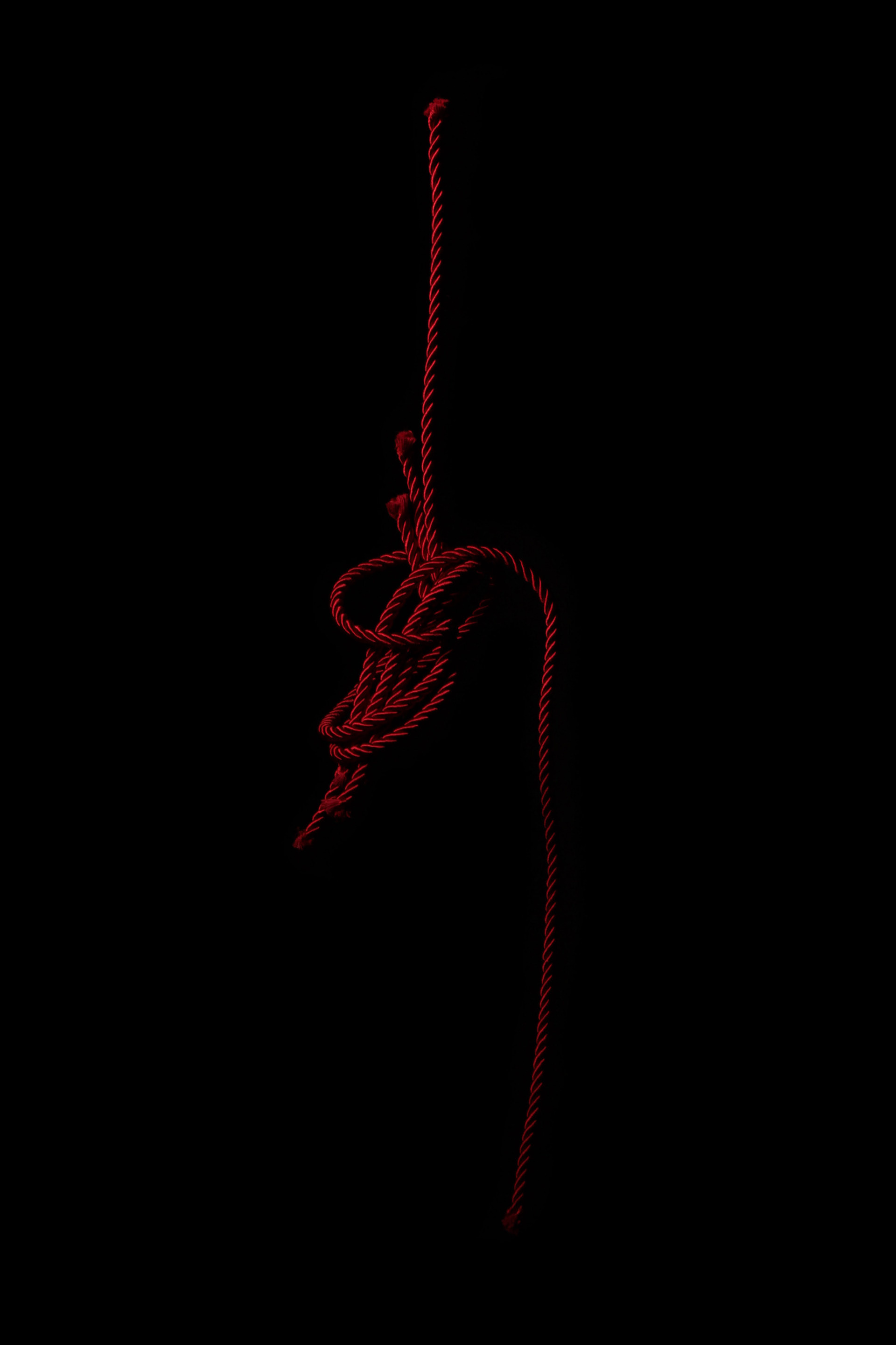 Title: Bound/Unbound Medium: Photographic Print On Cotton Rag 12 x 18 inch Unframed $120 2015 Edition of 5 +2AP