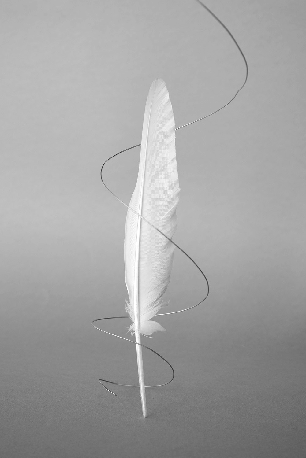 To Catch A Bird 40 x 50cm Giclee print on Mater Fine Art Fiber Pearl Edition of 10 + 2APS Unframed