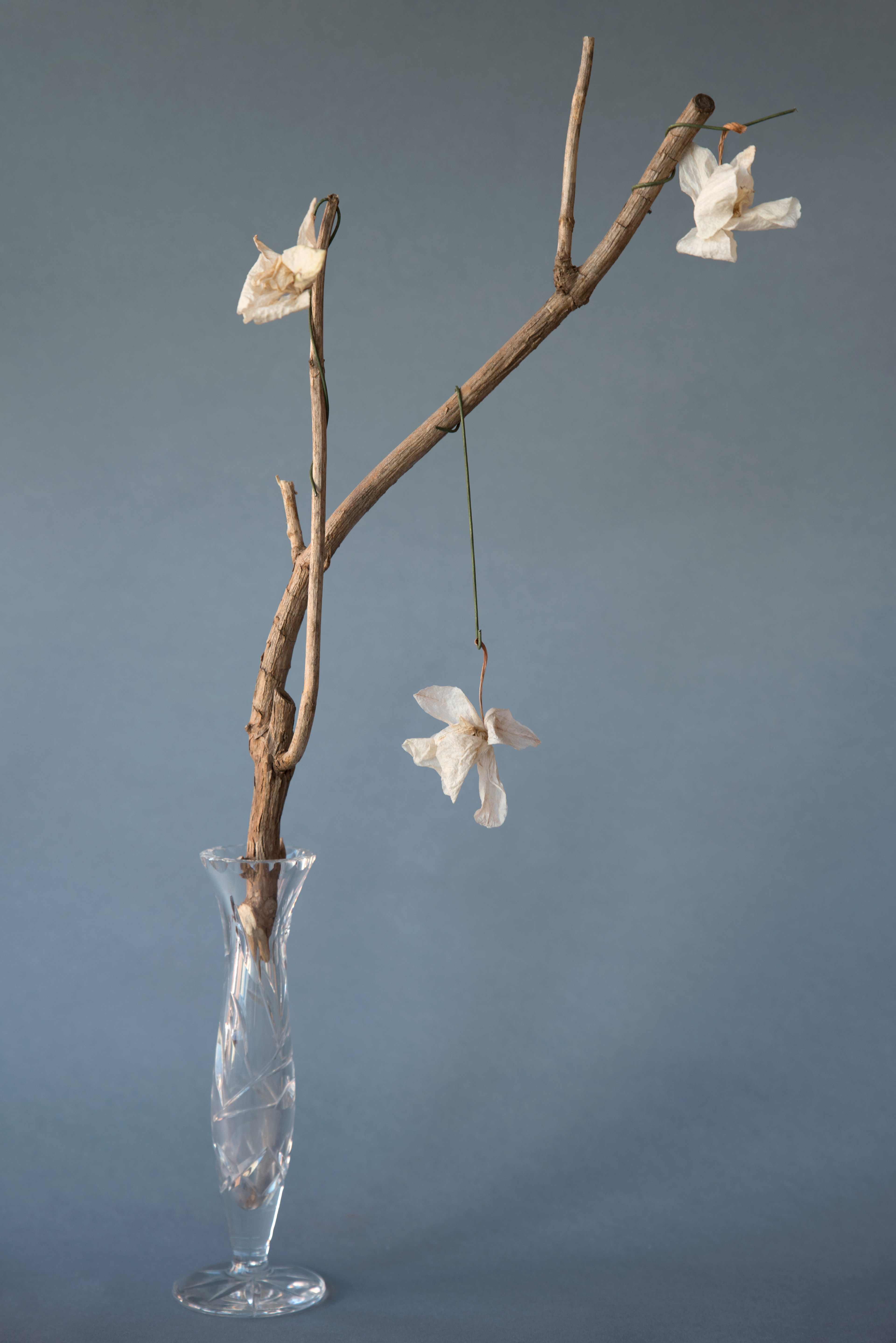 Hanging On 40 x 50cm Giclee print on Mater Fine Art Fiber Pearl Edition of 10 + 2APS Unframed