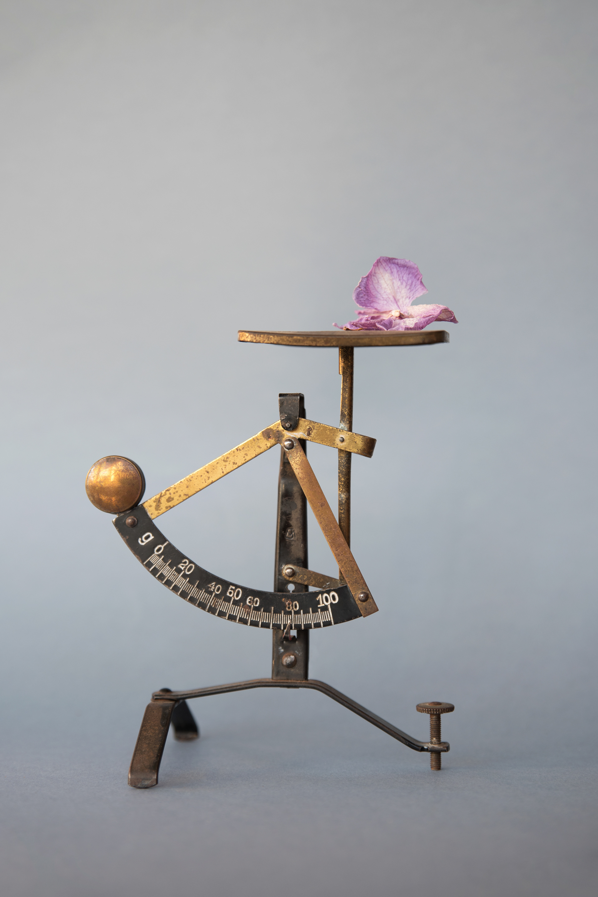 Weight To Bear 40 x 50cm Giclee print on Mater Fine Art Fiber Pearl Edition of 10 + 2APS Unframed