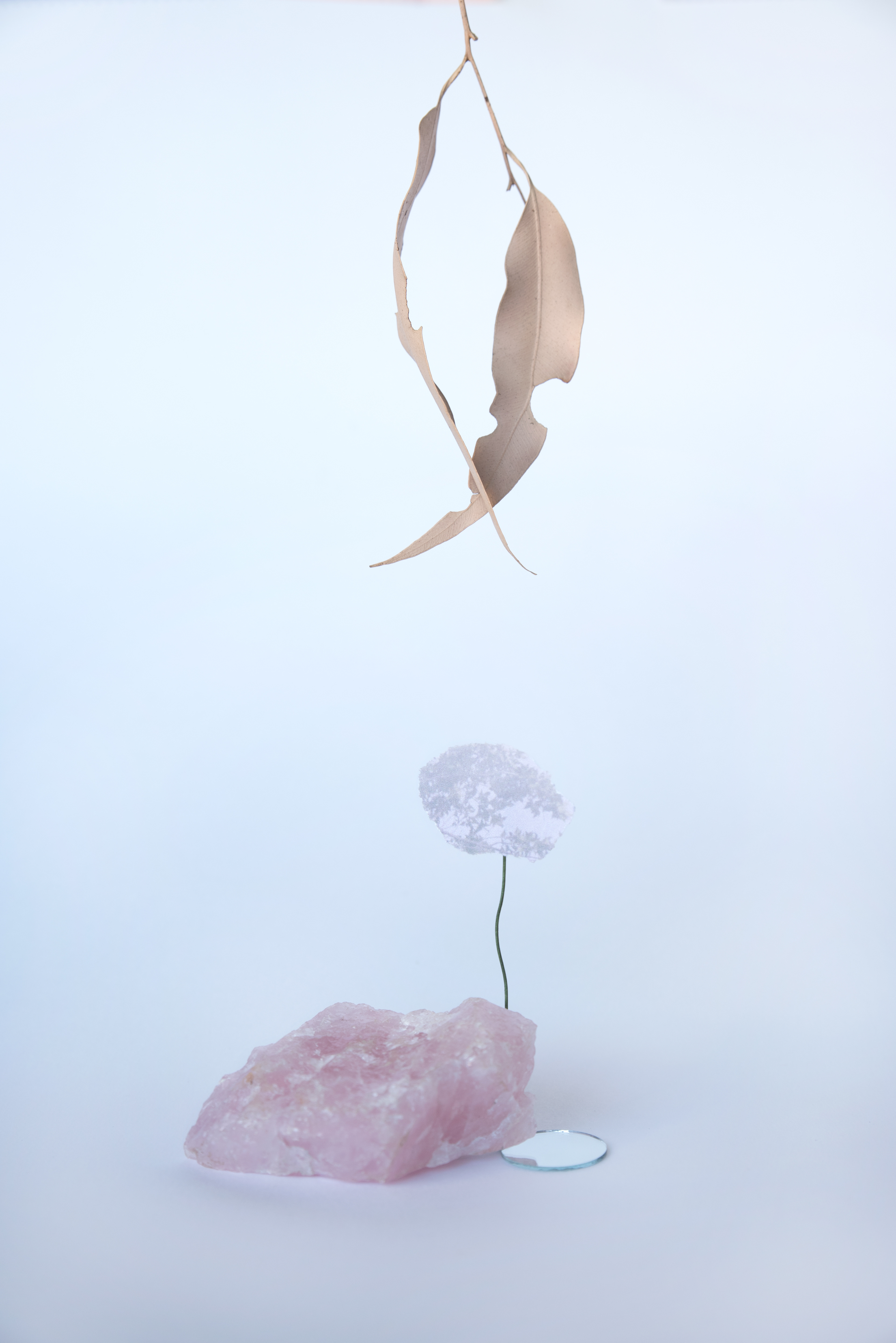 Title: Reflections Medium: Photographic Print Dimensions: 8x12 inch edition of 5+2AP $100