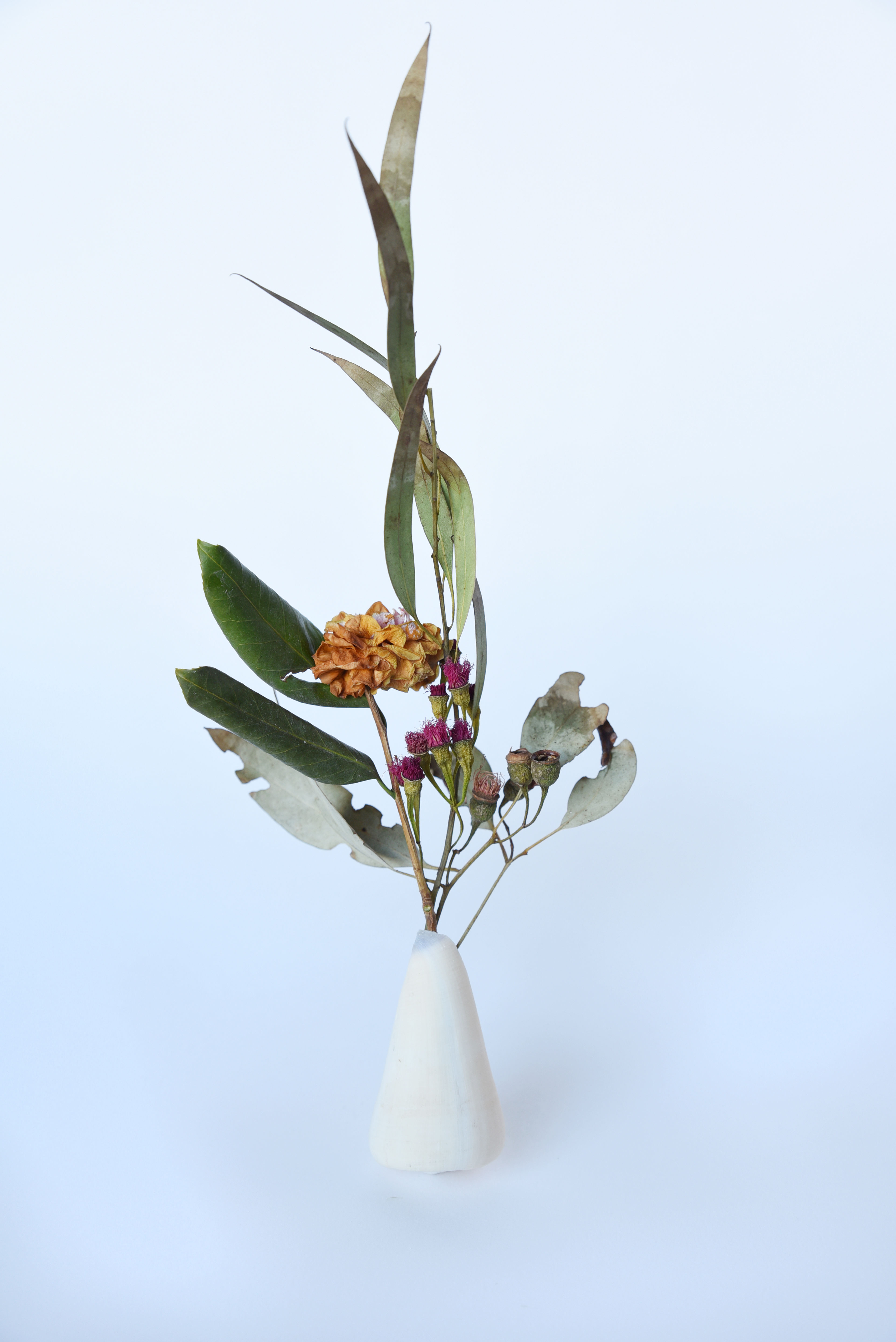 Title: vessel Medium: Photographic Print Dimensions: 8x12 inch edition of 5+2AP $100