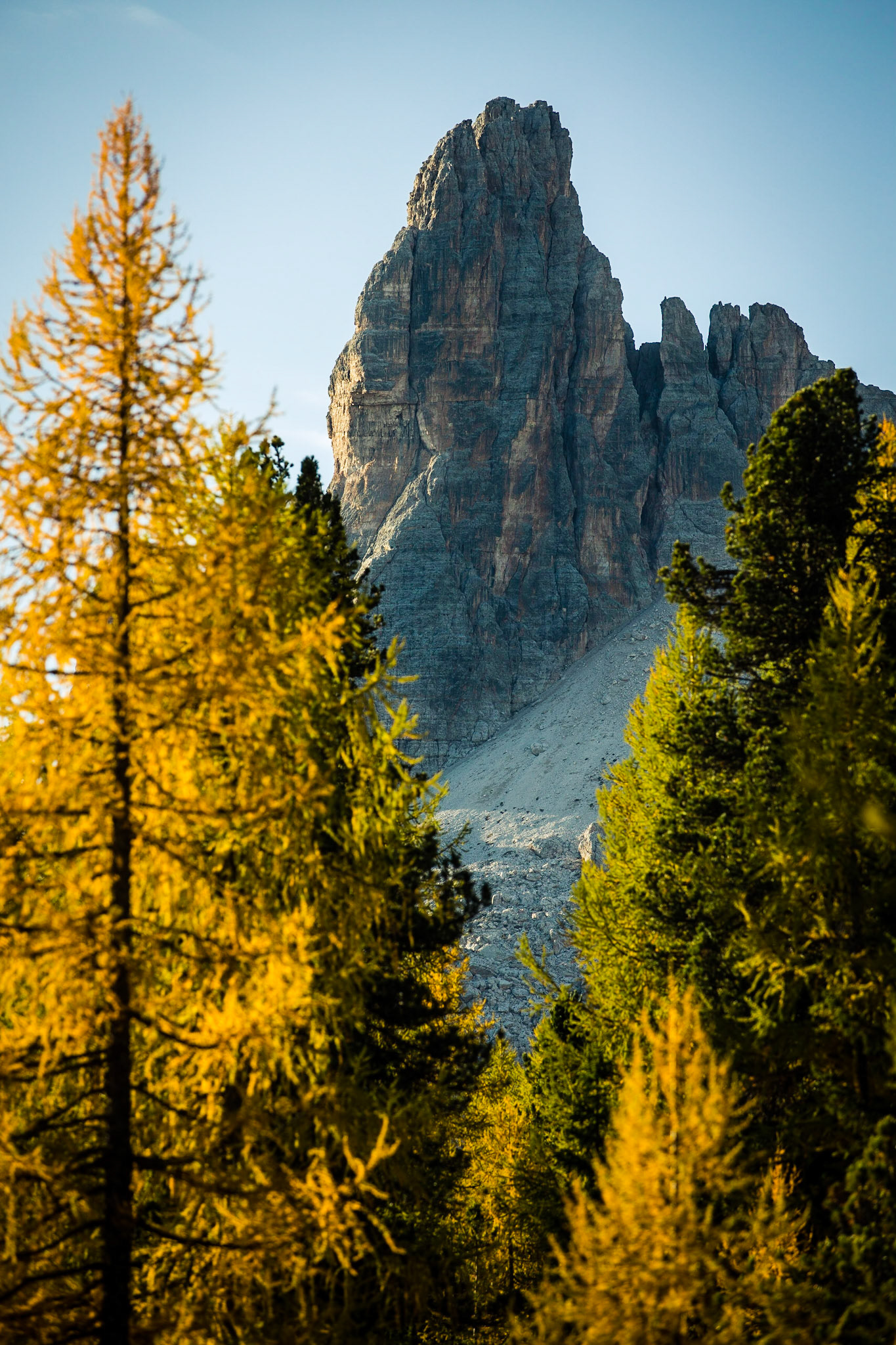 Golden Hour in autumn.The Golden Hour is always very important when shooting landscapes, especially in autumn. The yellow colours of the Larch-trees become golden. Simply magical.....