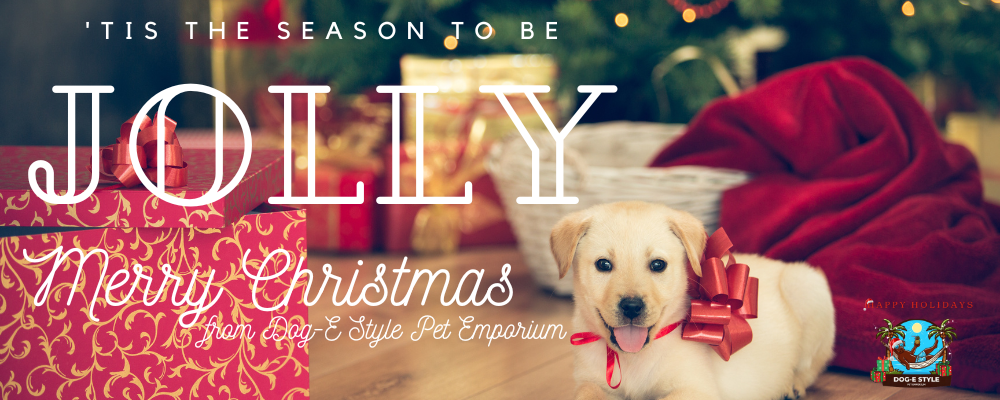 Merry Christmas- December 2023