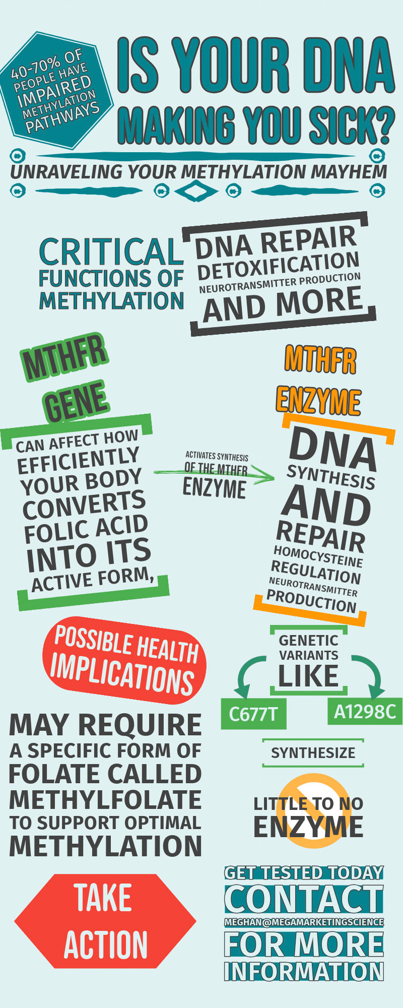 Infographic: 5-MTHFR Gene Mutation 