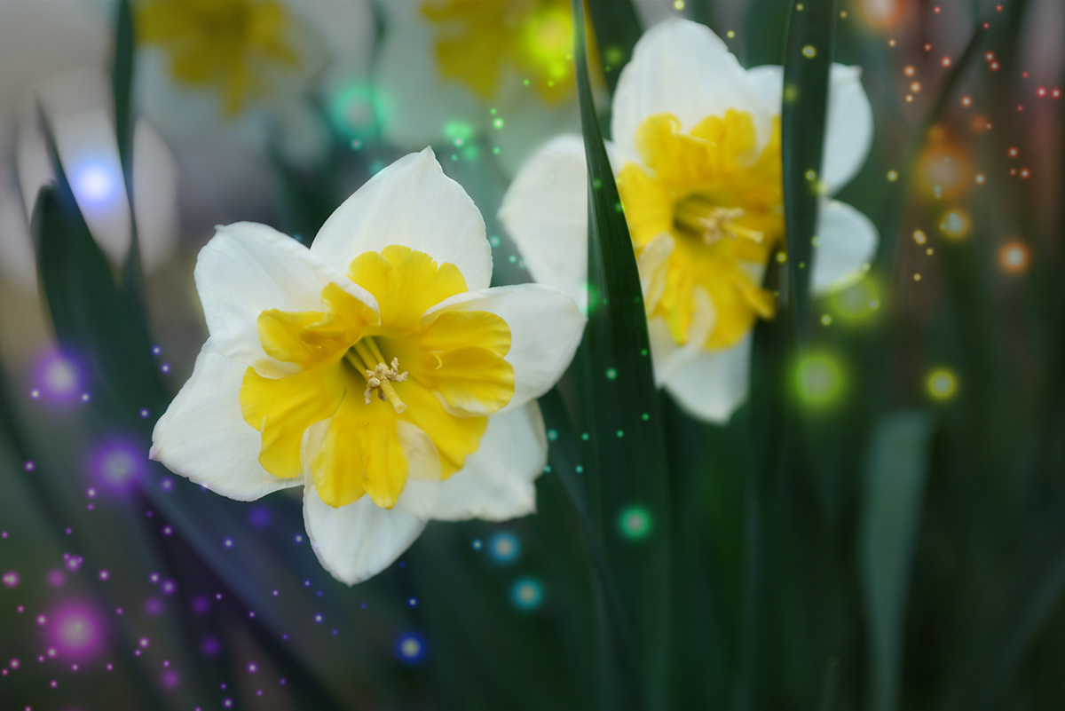 Алексей Курносов - Spring colors II