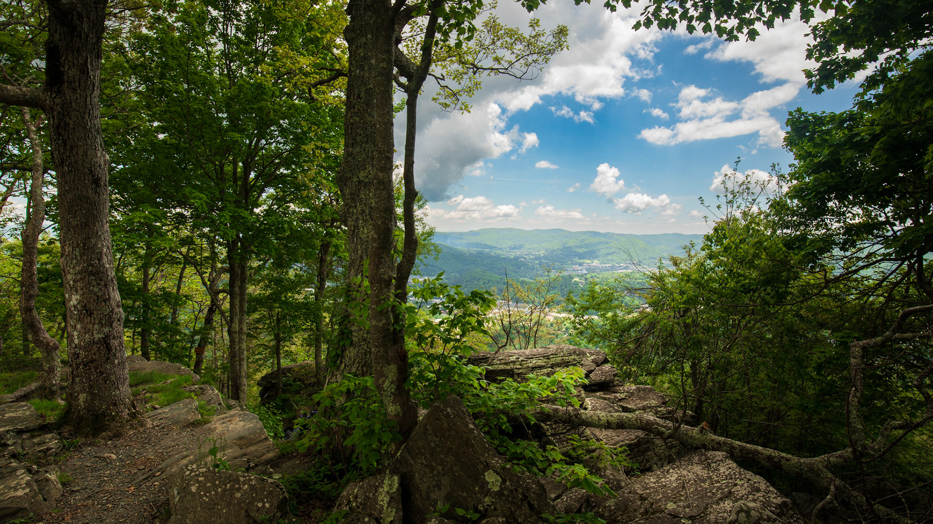 Boone Overlook